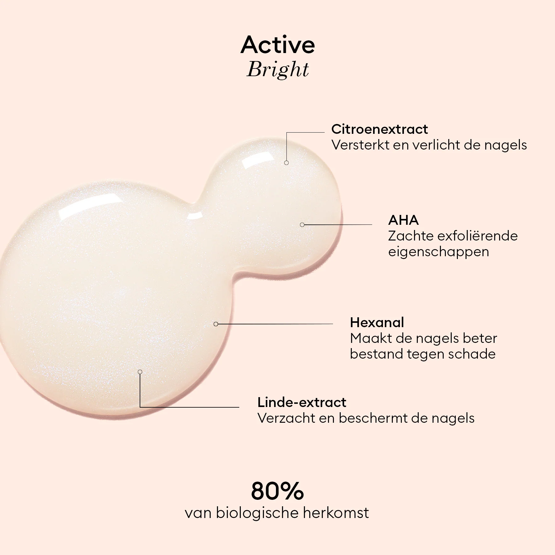 Active Bright - Image 17