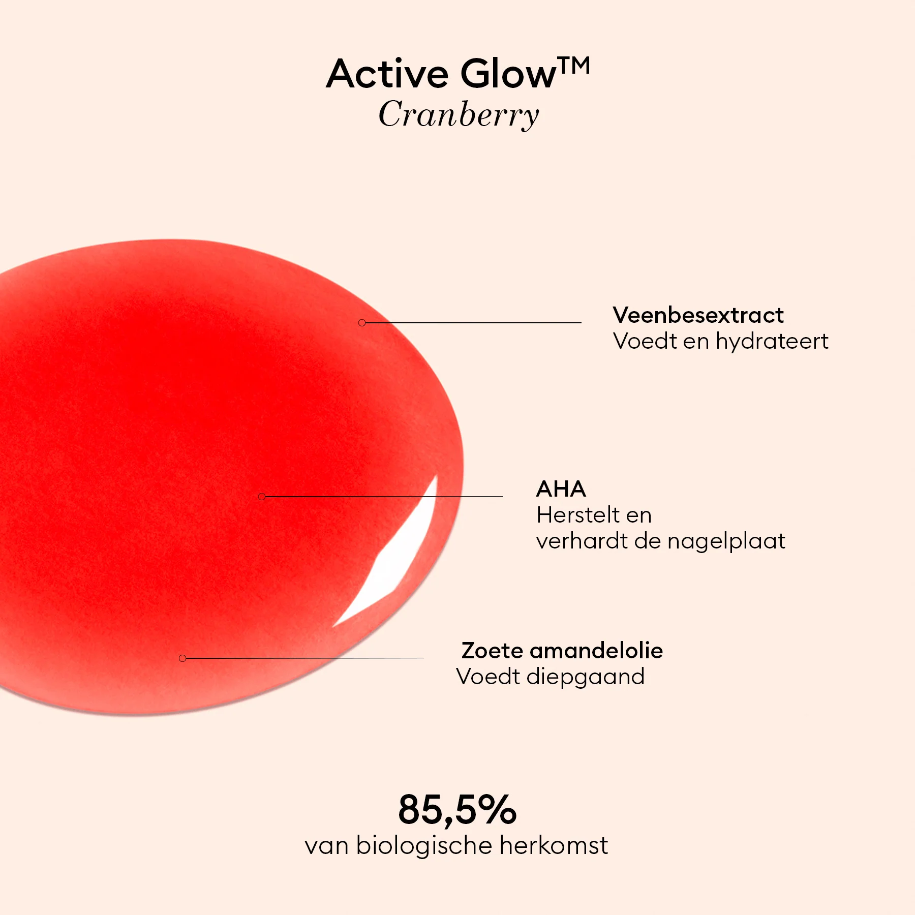Active Glow Cranberry - Image 20
