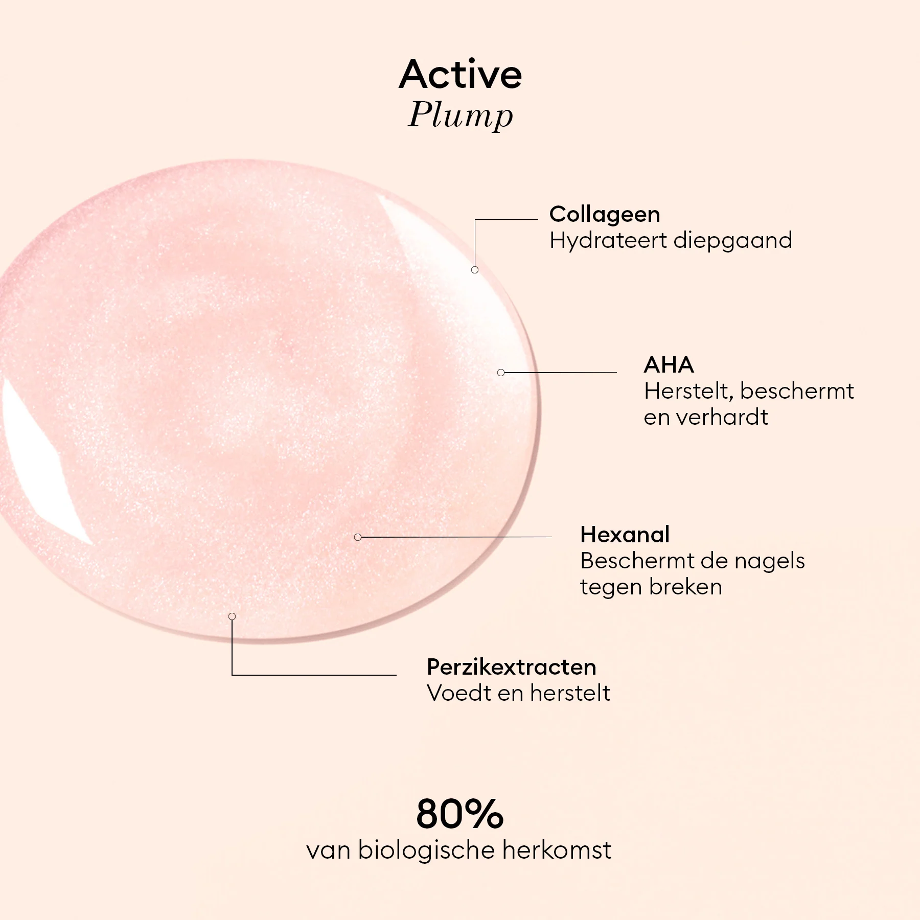 Active Plump - Image 20