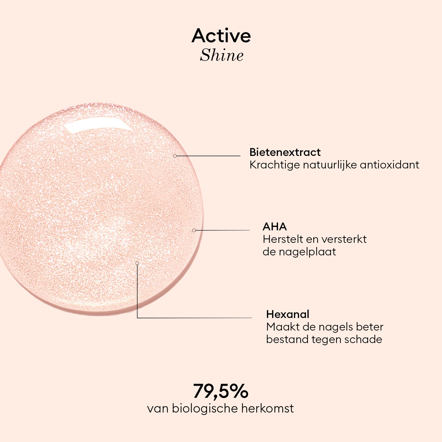 Active Shine - Image 20