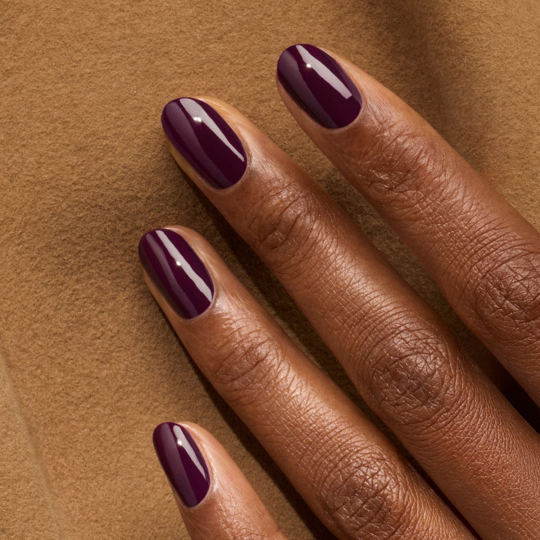 Aubergine - Image 3