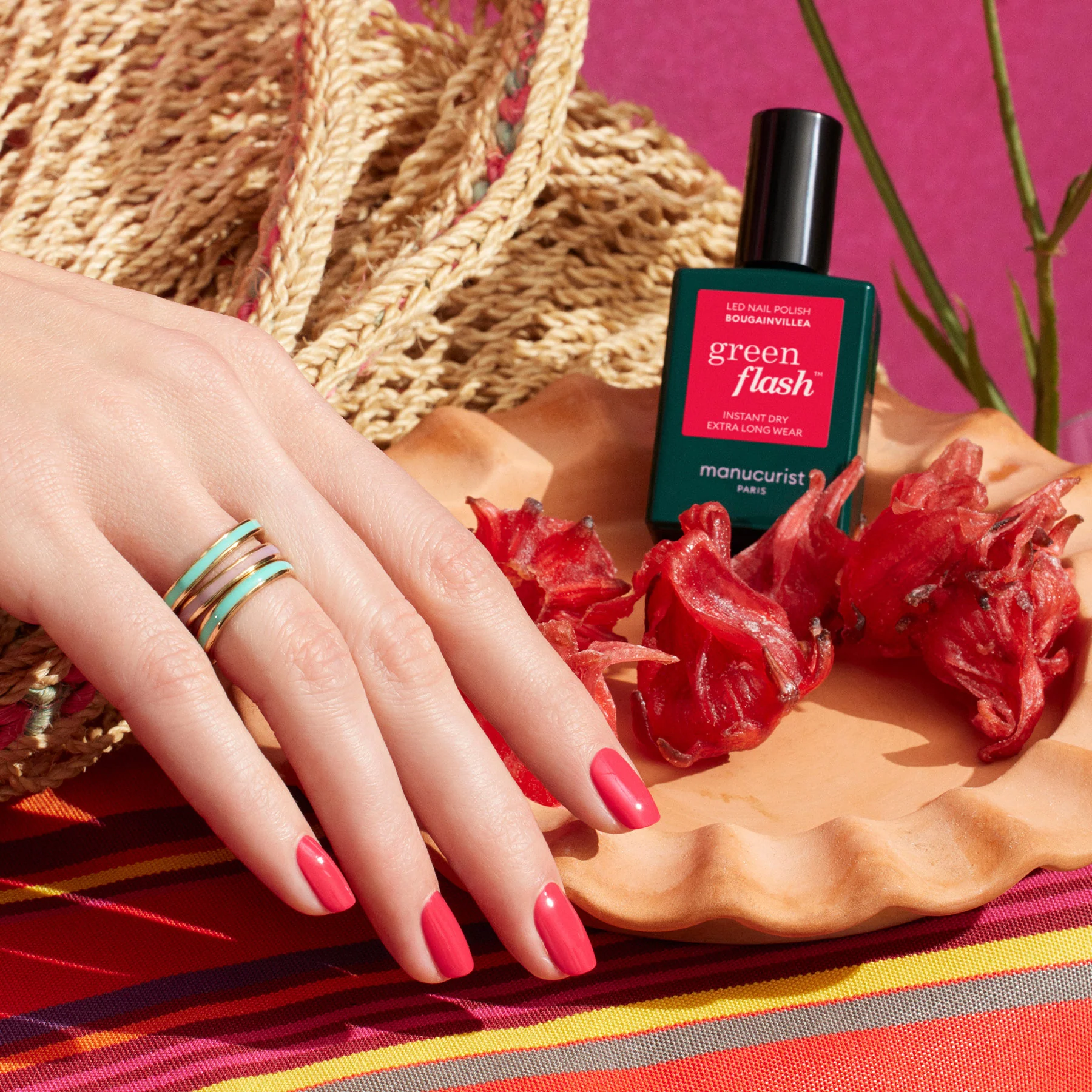 Bougainvillea - Image 3