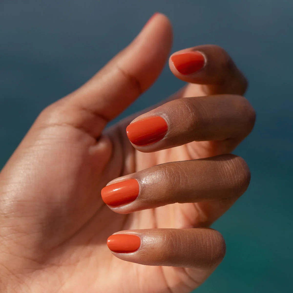 Color Refresher - Image 9