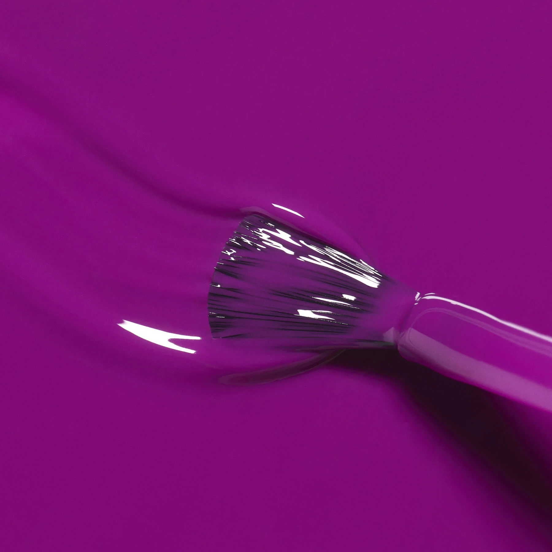 Fizz - Image 4