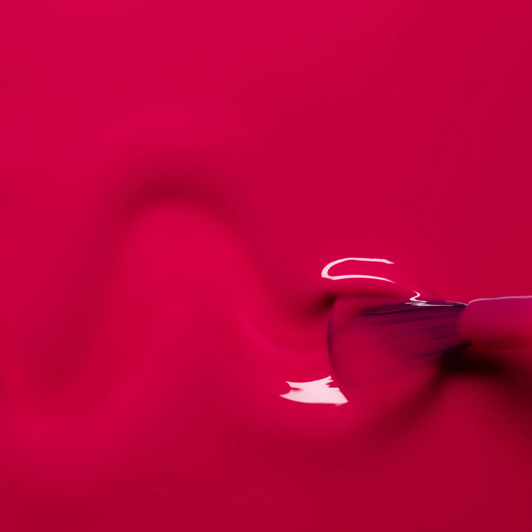 Fuchsia - Image 3