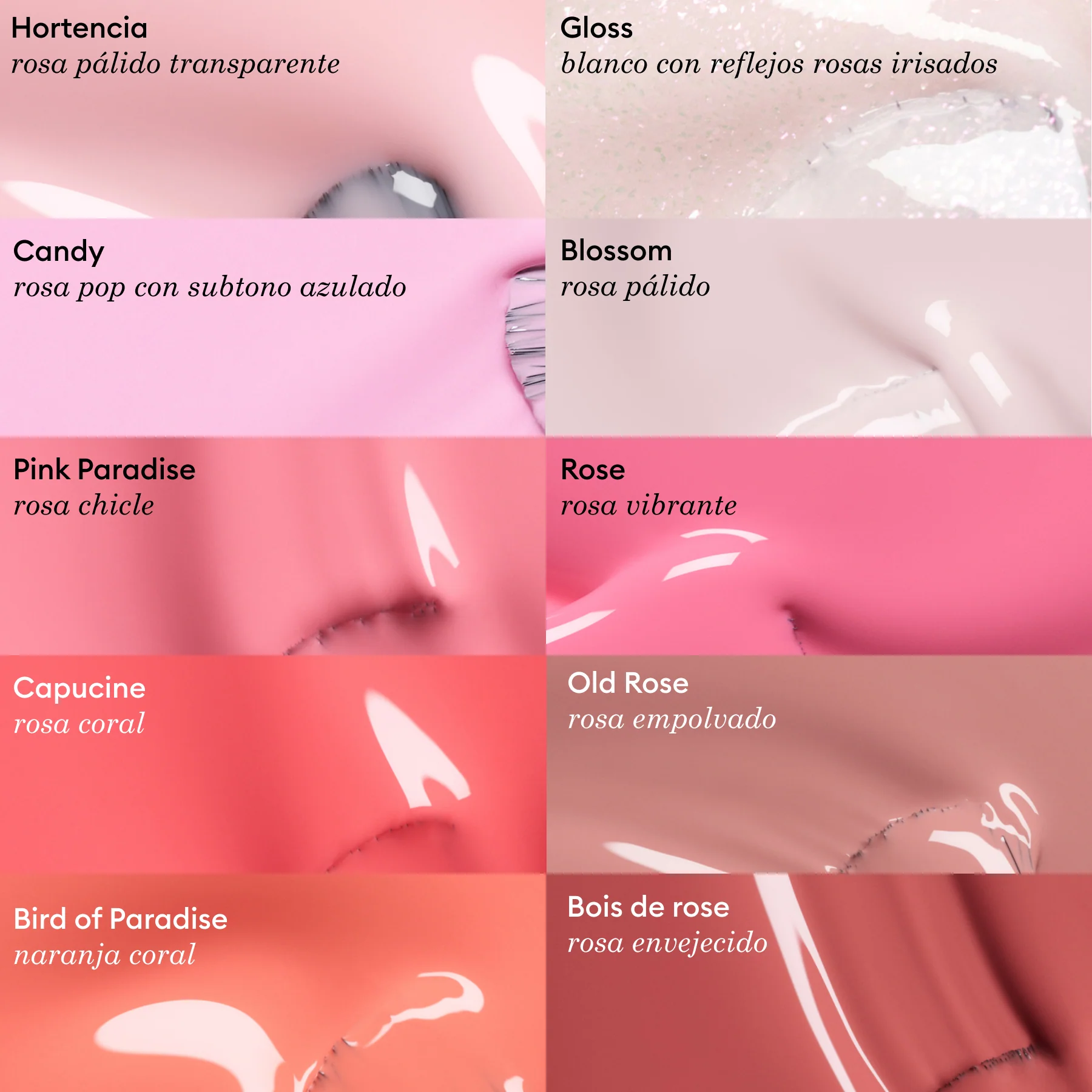 Gloss - Image 14