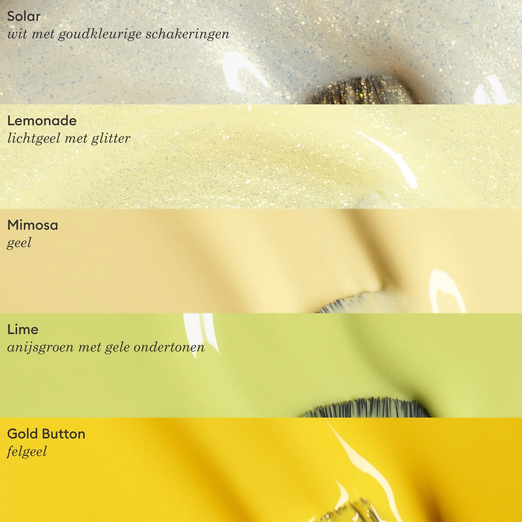 Gold Button - Image 7