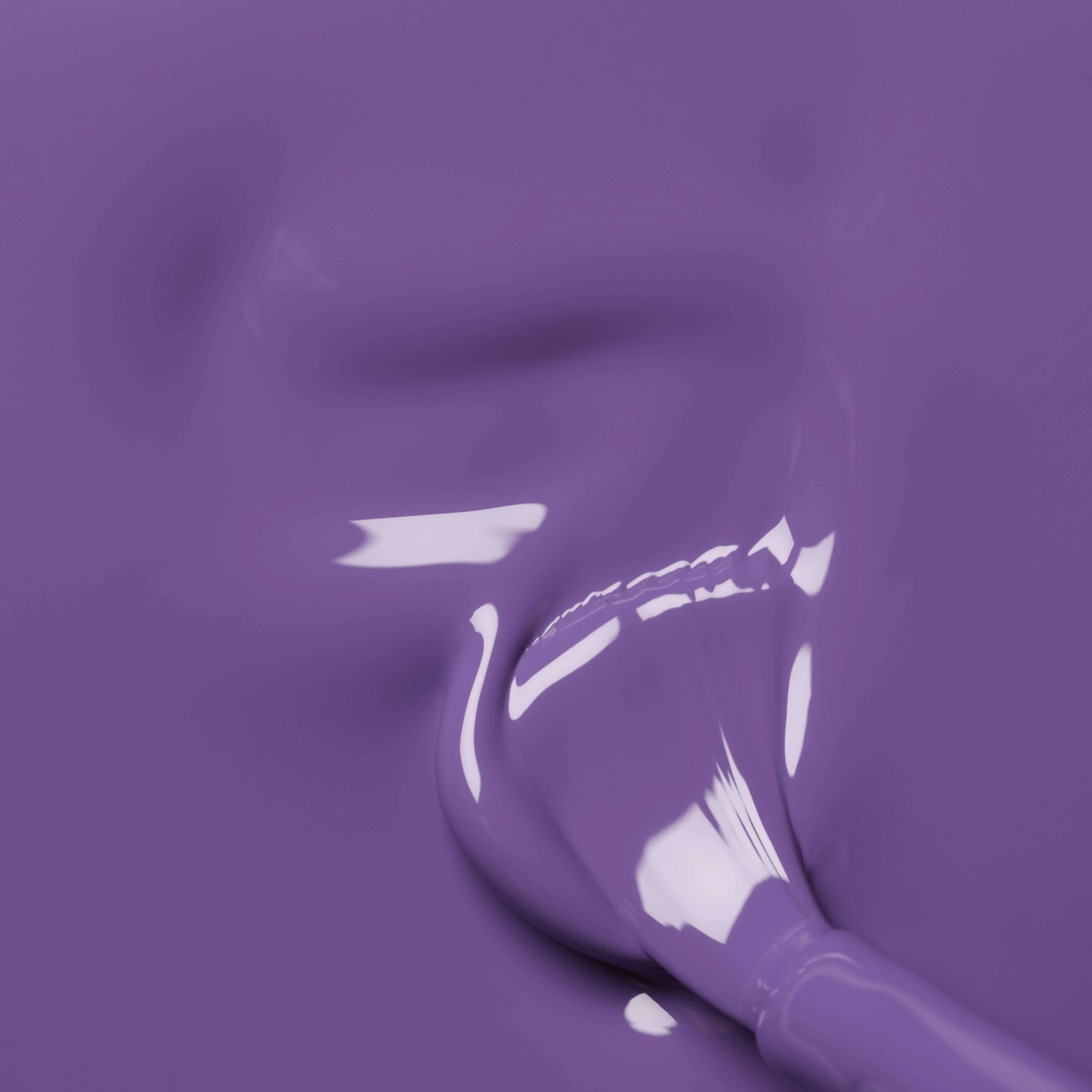Iris - Image 3