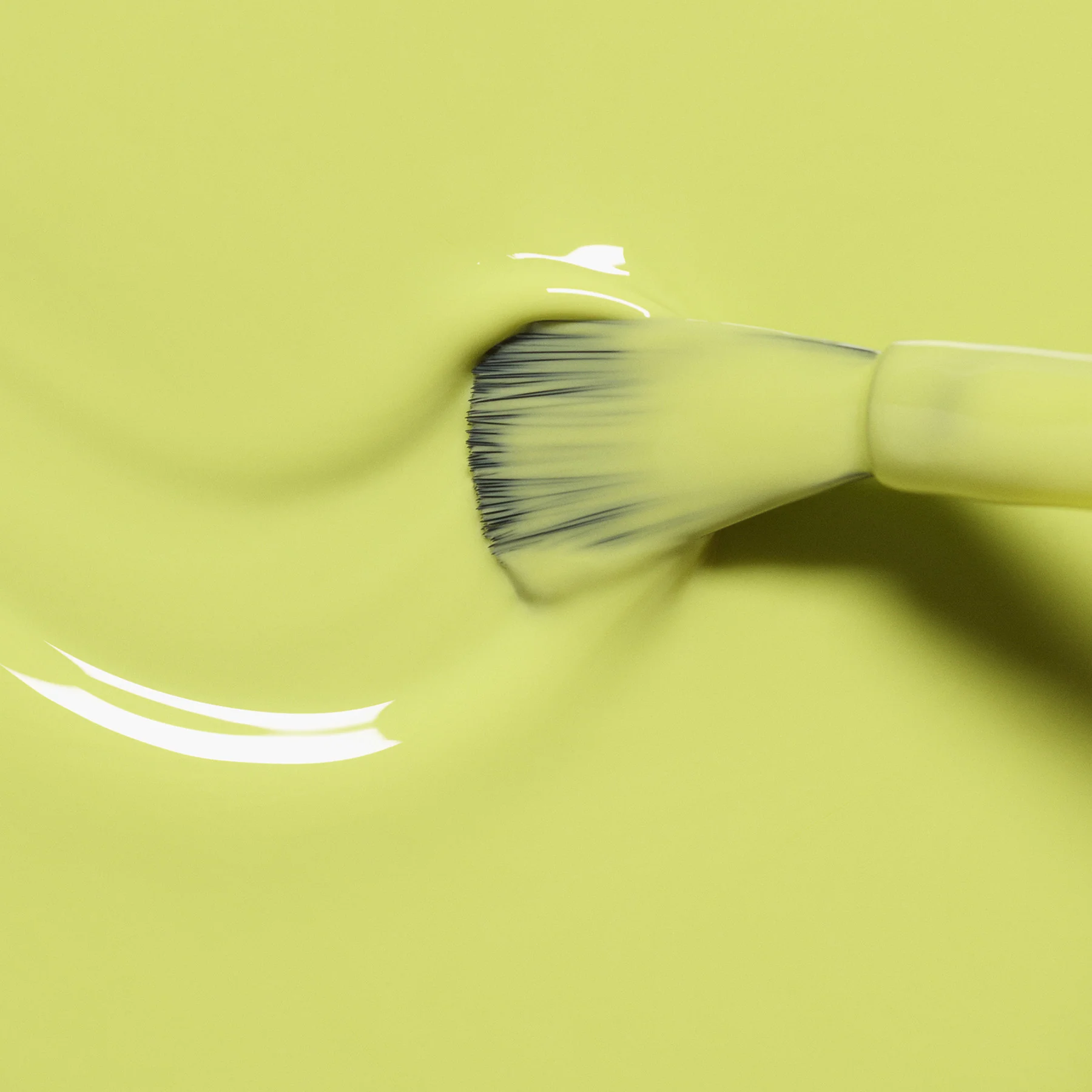 Lime - Image 4