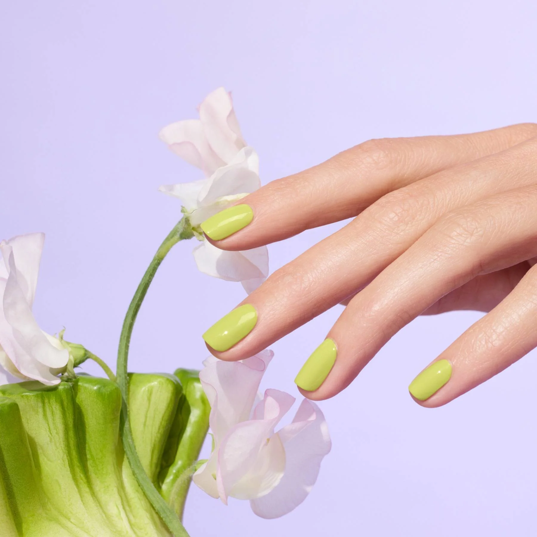 Lime - Image 5