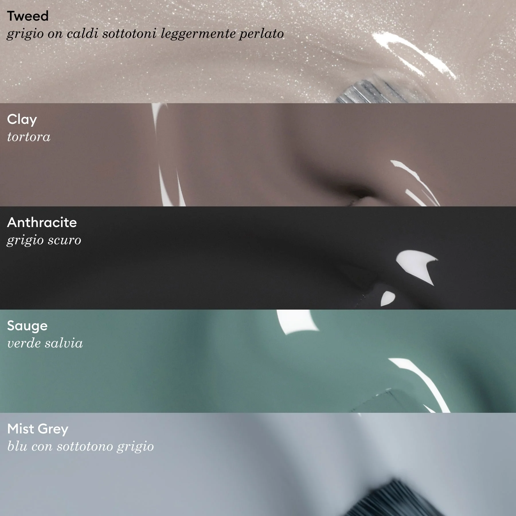 Sauge - Image 7