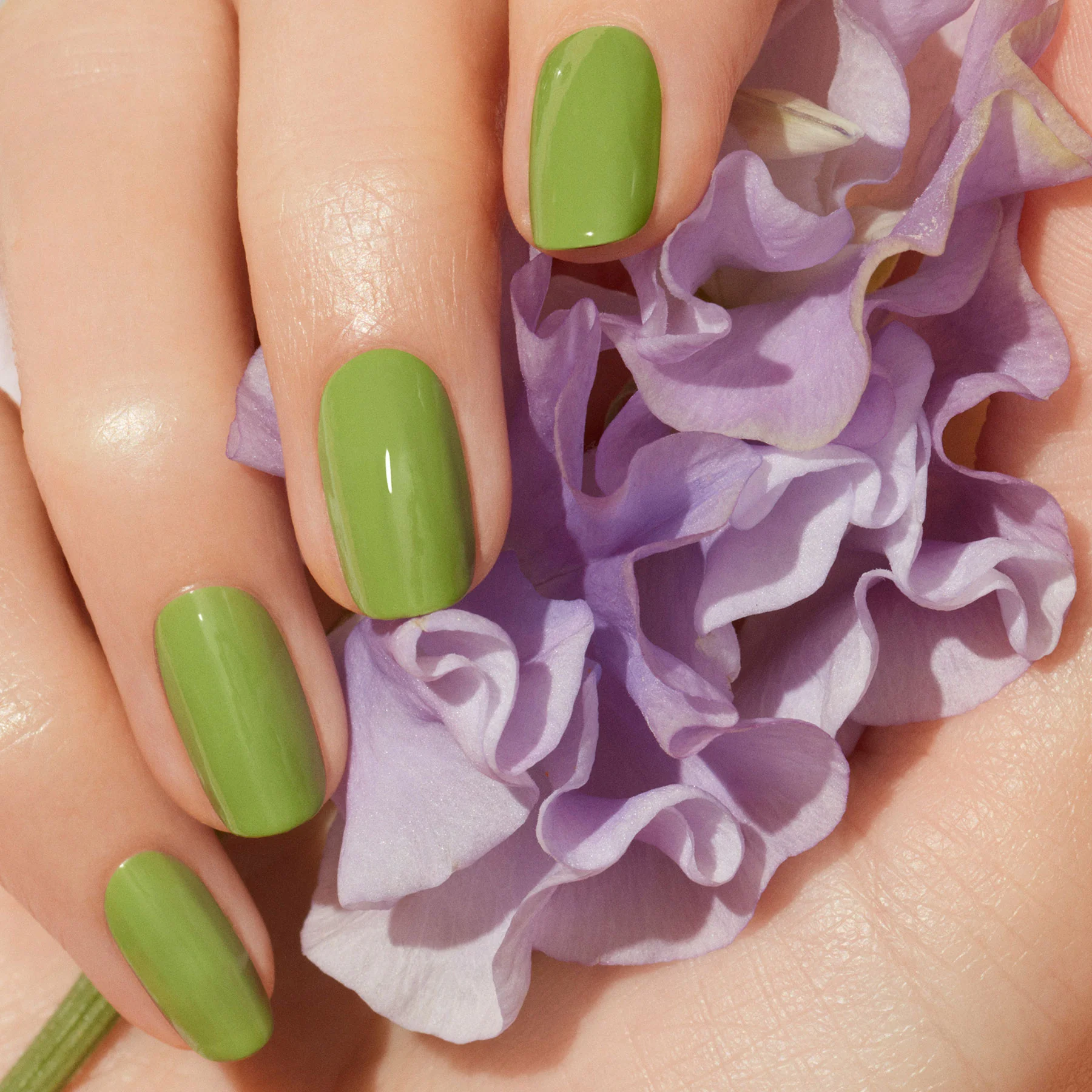 Petit Pois - Image 2