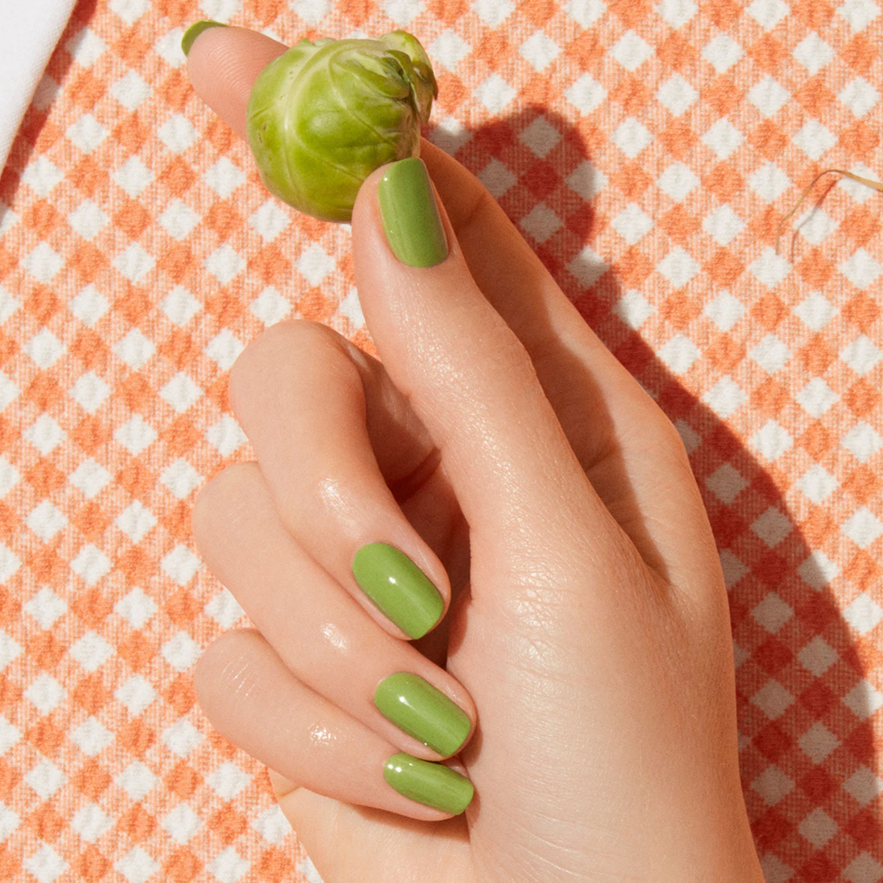 Petit Pois - Image 29
