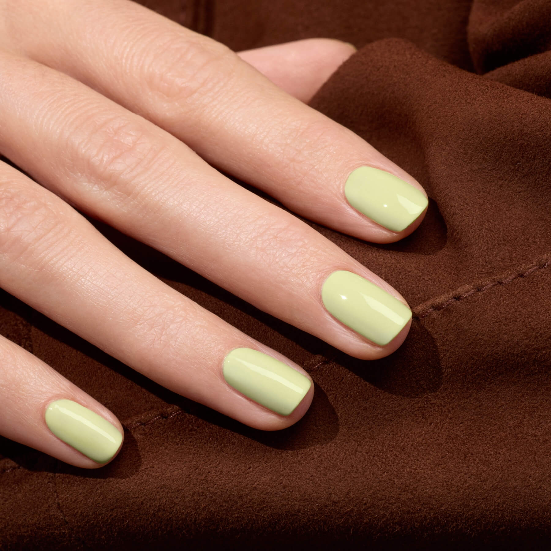 Pistachio - Image 4