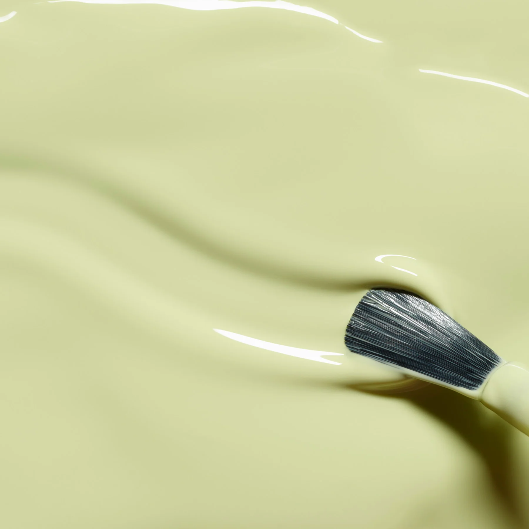 Pistachio - Image 5