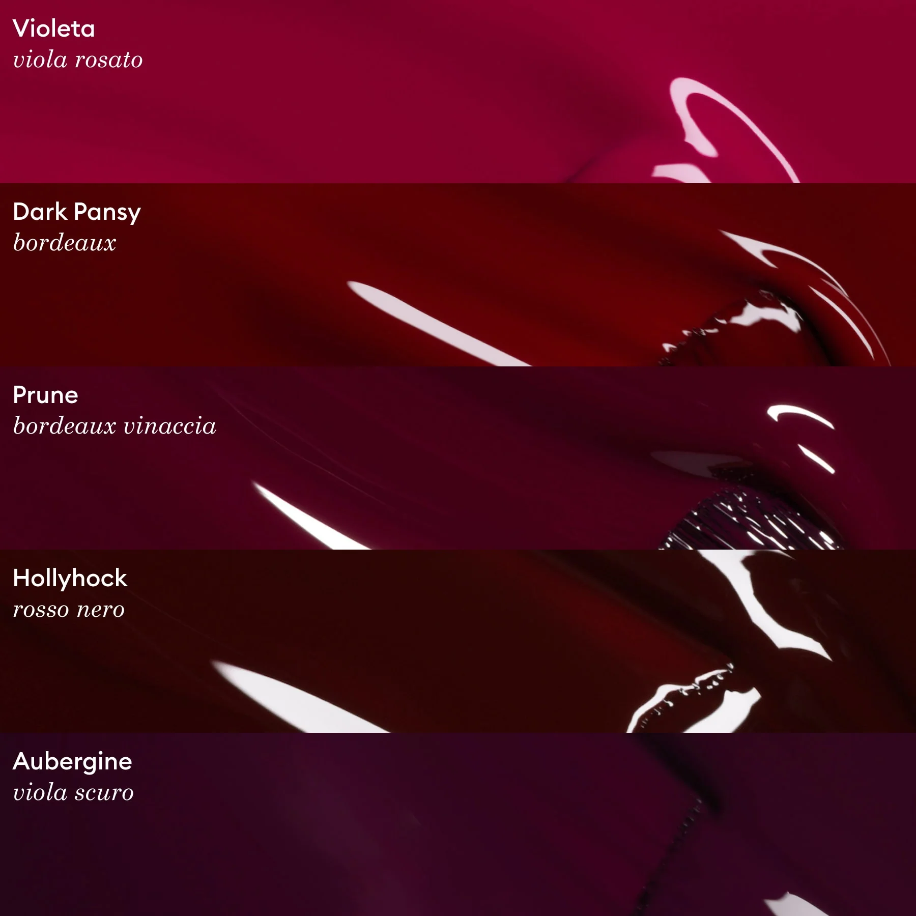 Aubergine - Image 12