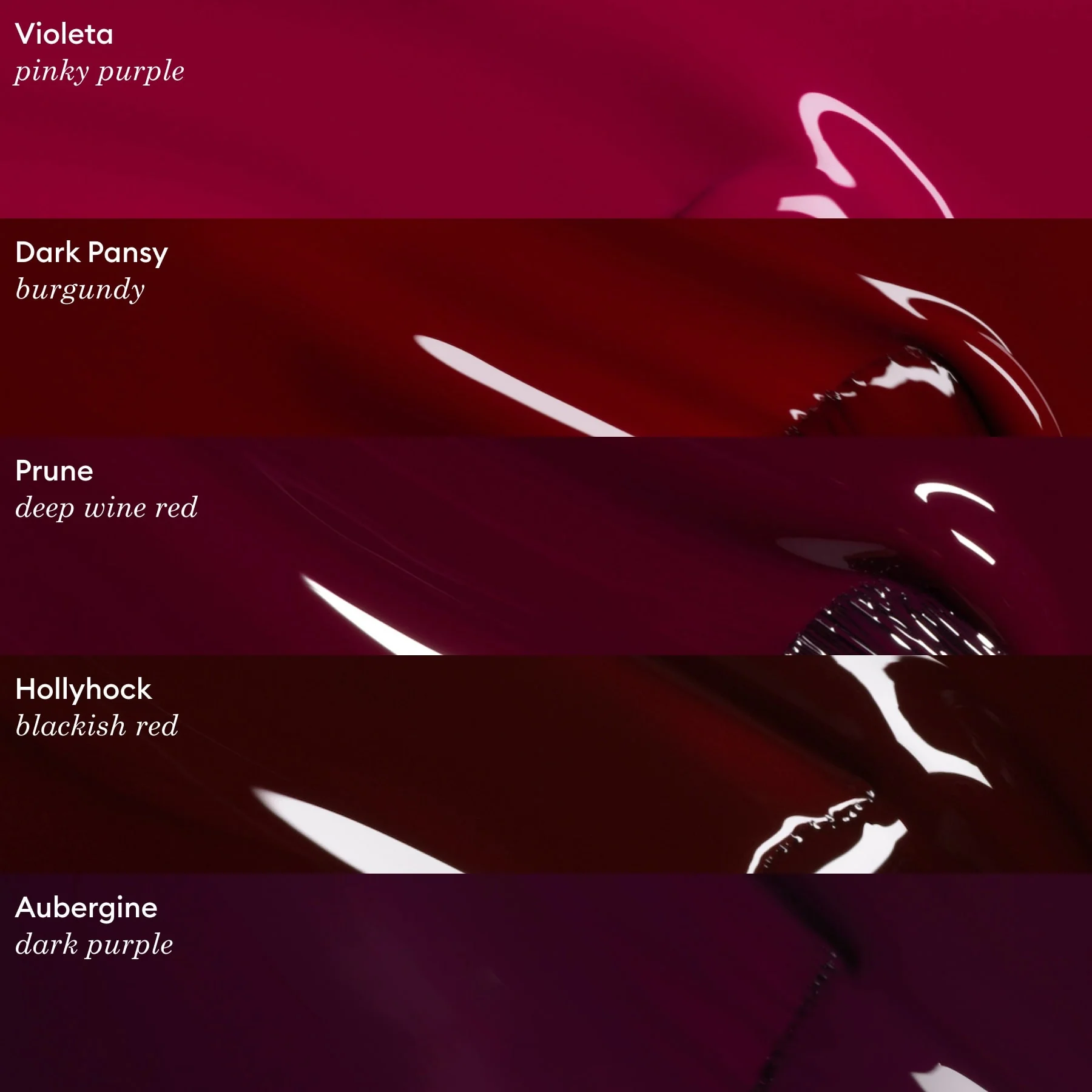Aubergine - Image 16