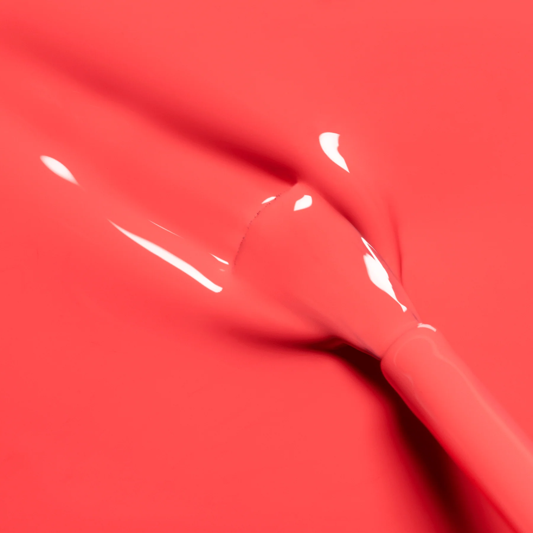 Pulp - Image 3