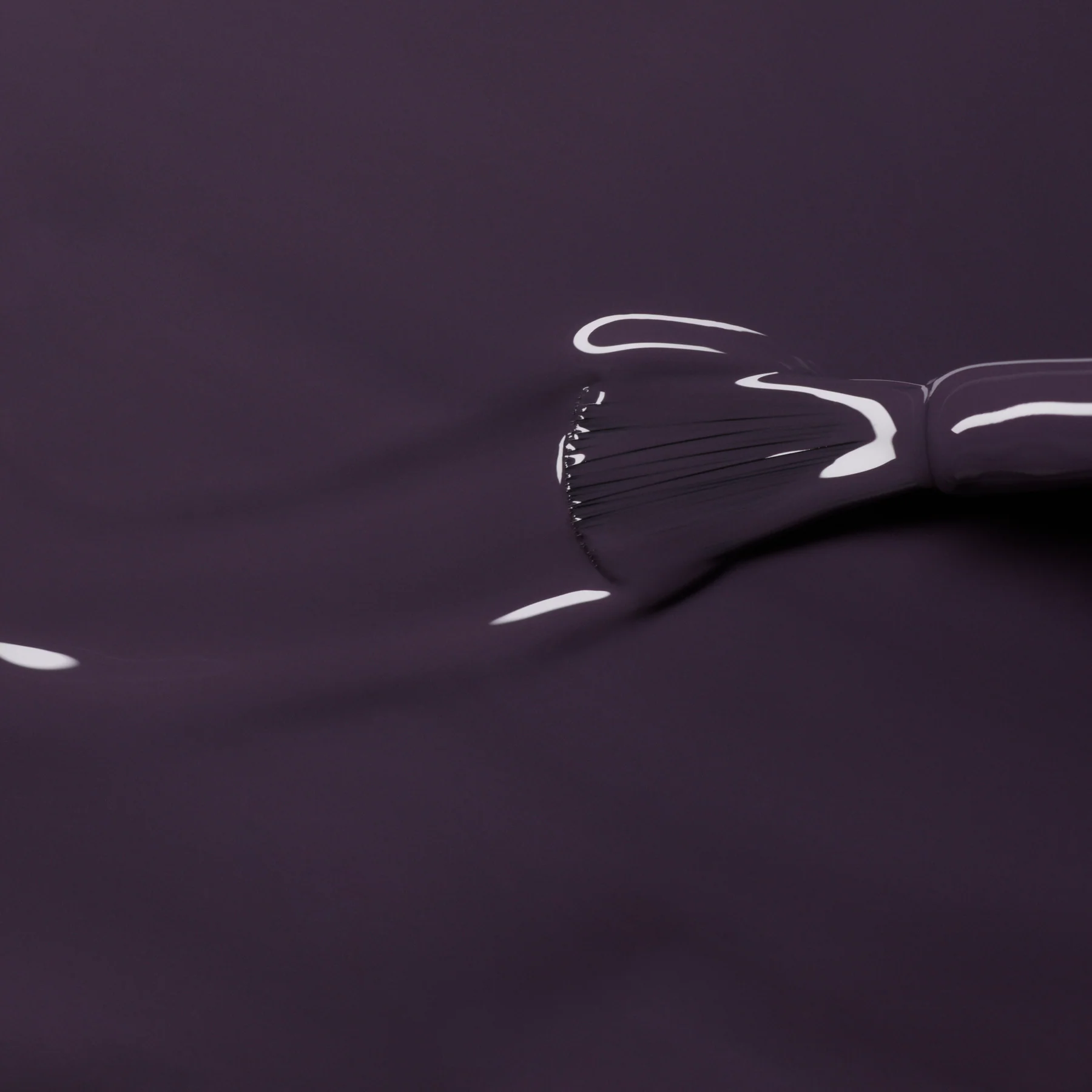 Queen of Night - Image 5