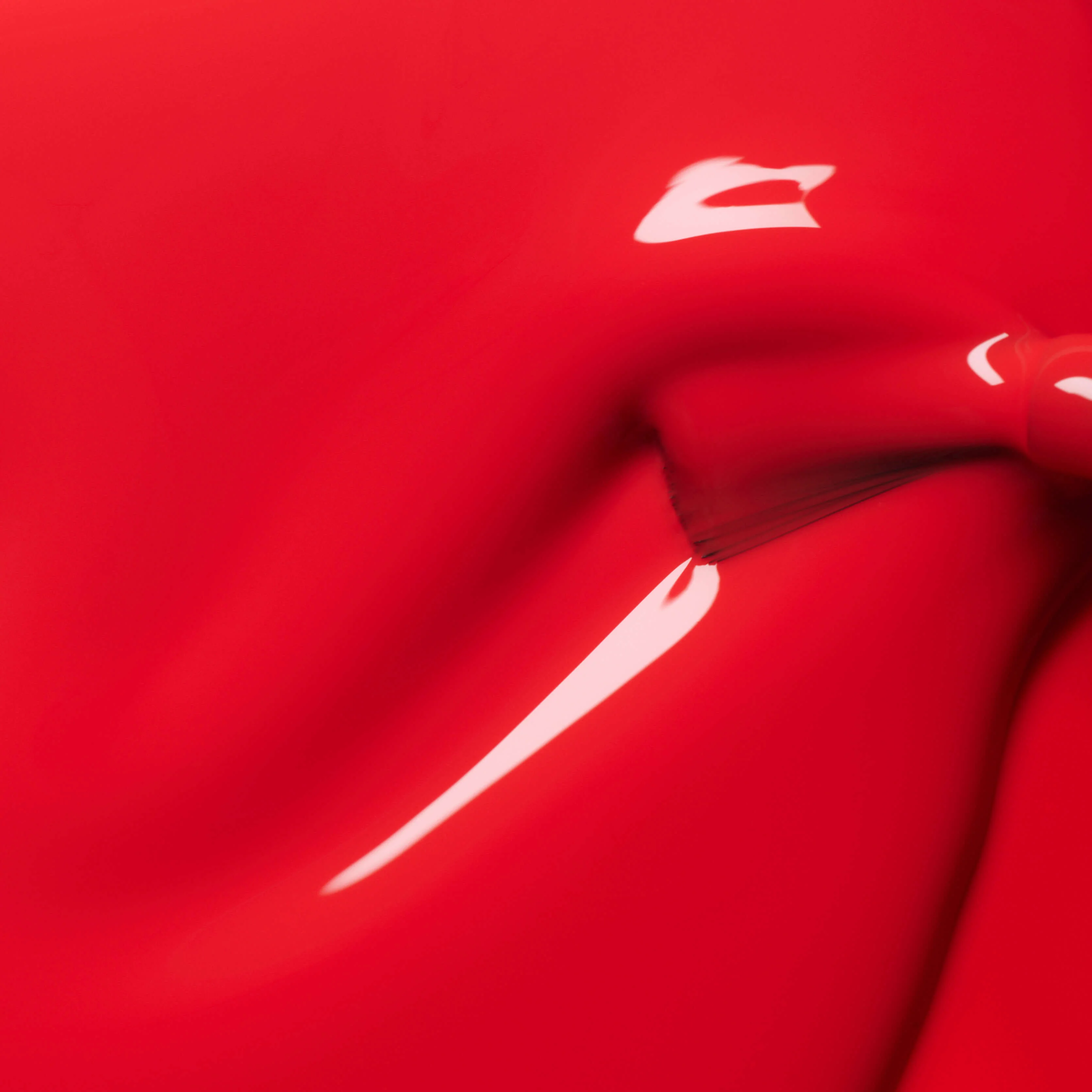 Red Coral - Image 4