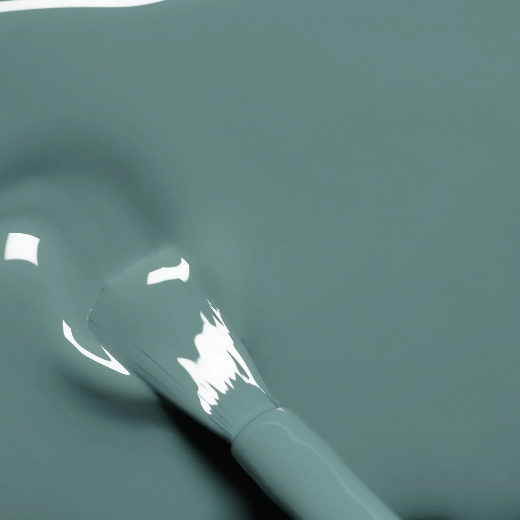 Sauge - Image 4