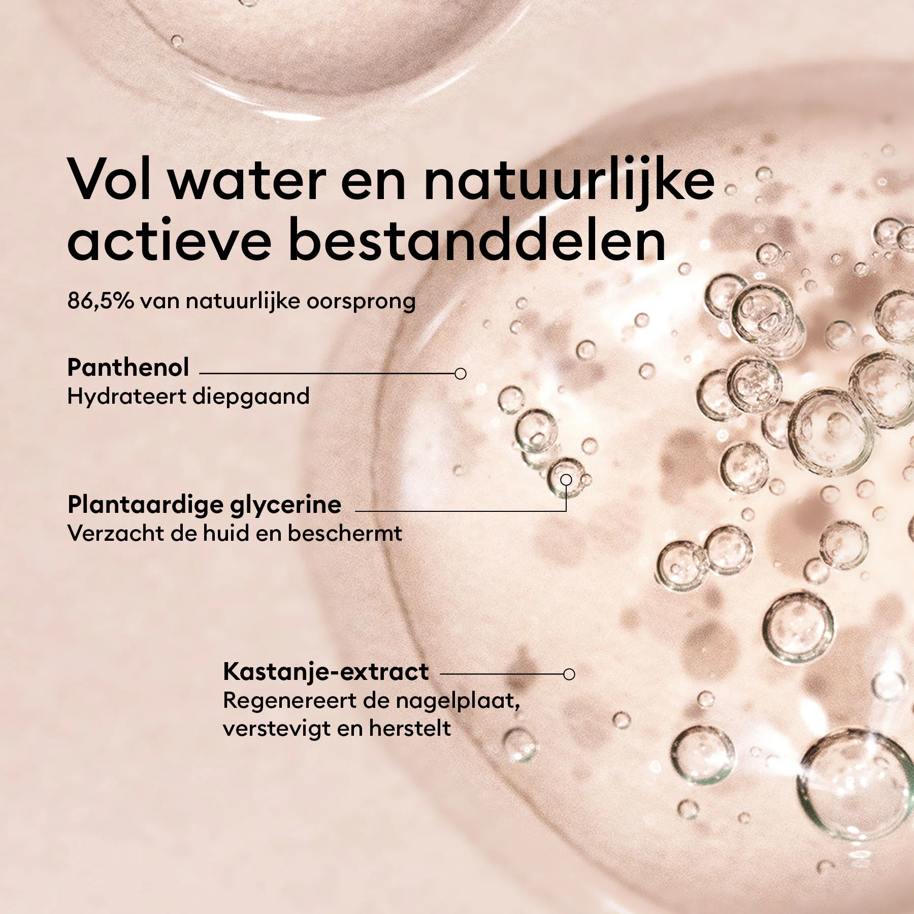 Sérum Complet - Image 13
