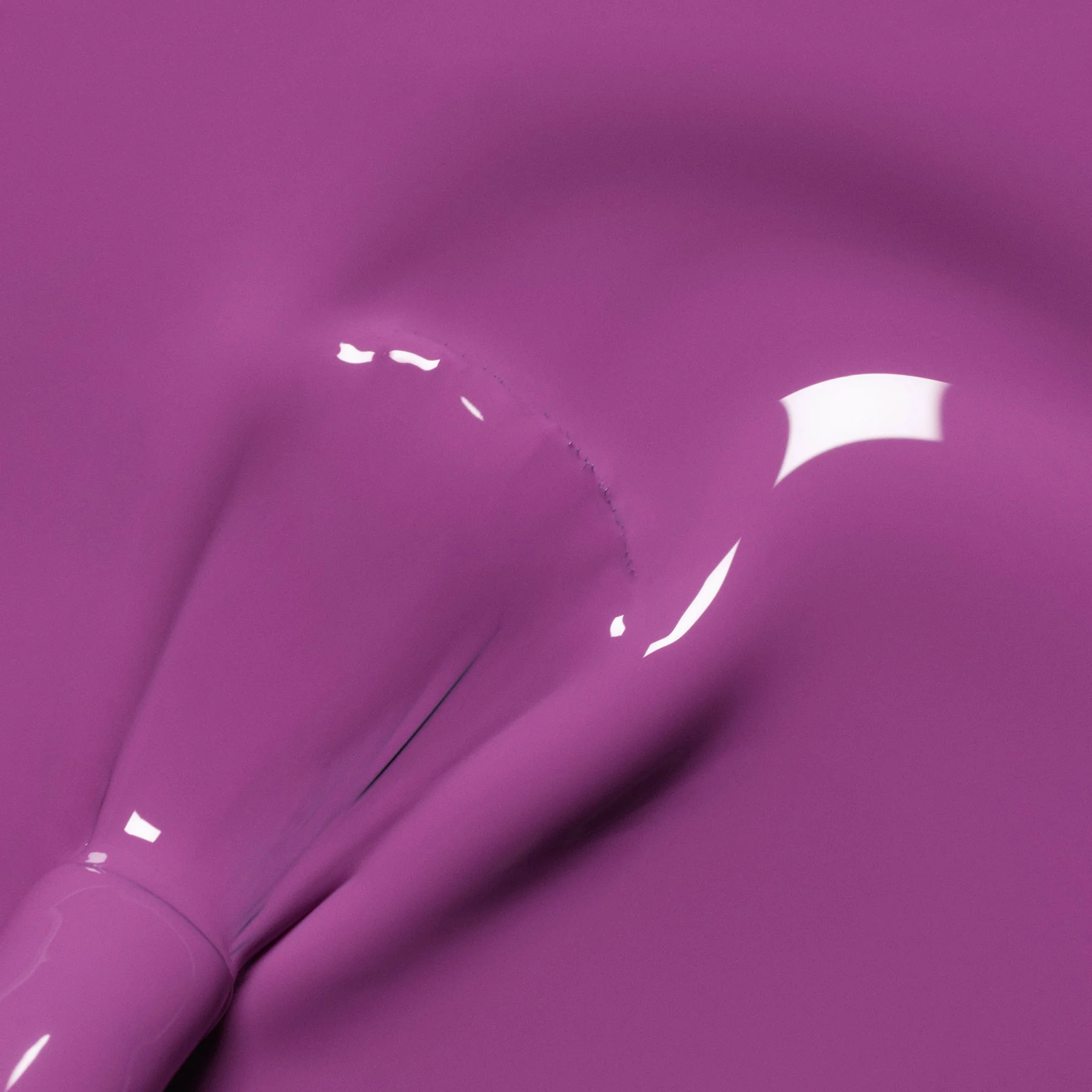 Shiny Summer - Image 7