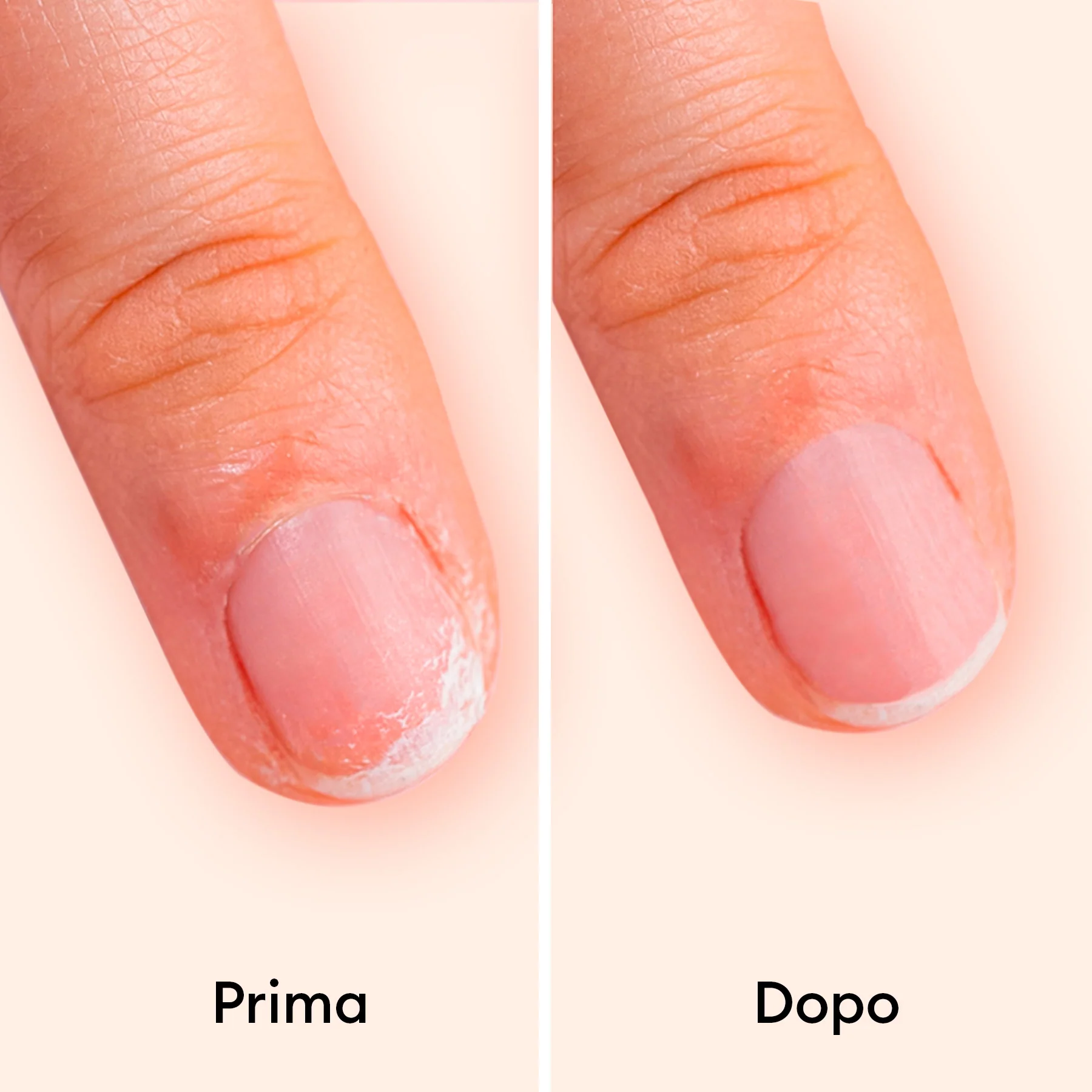 Duo Day & Night - Image 14
