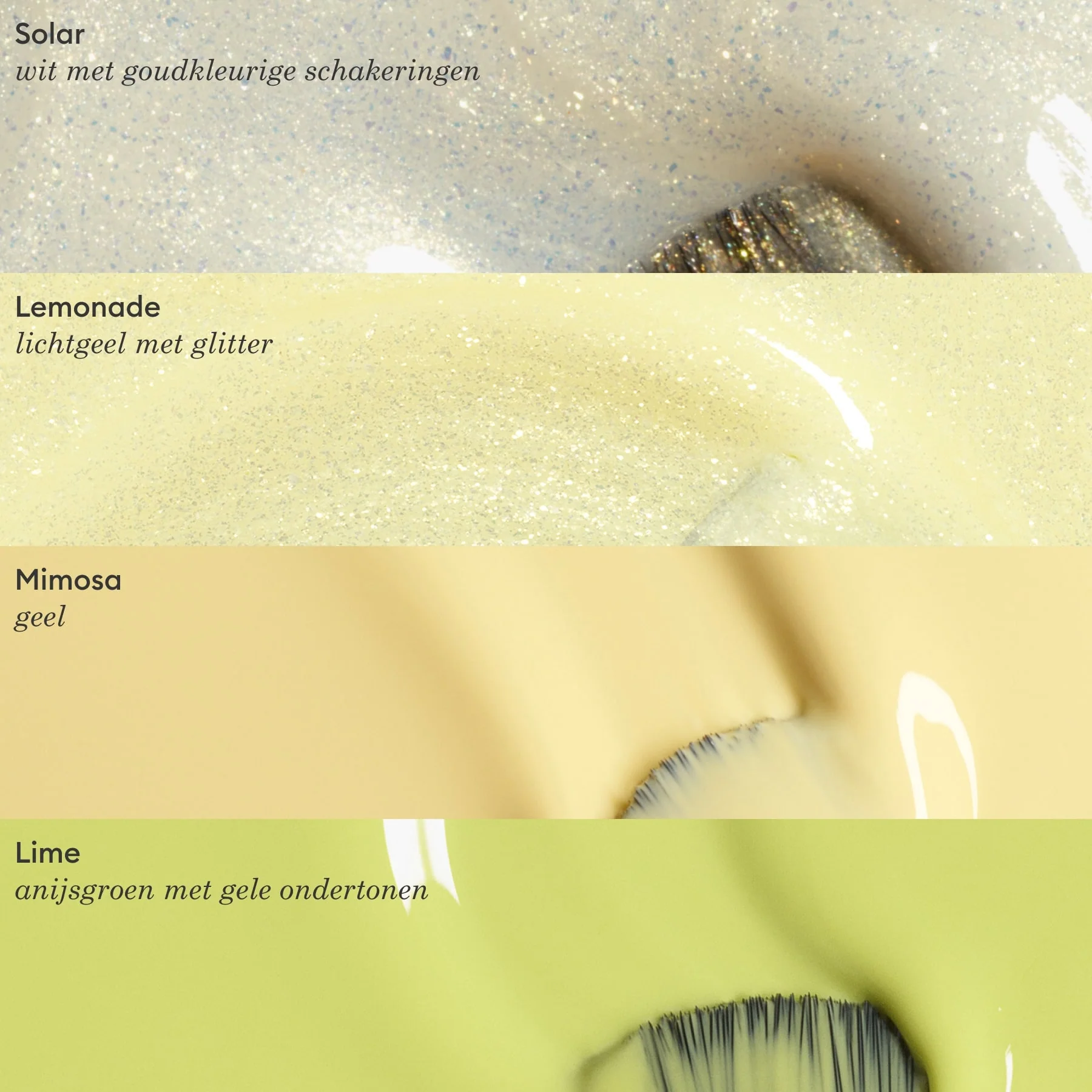 Lime - Image 15
