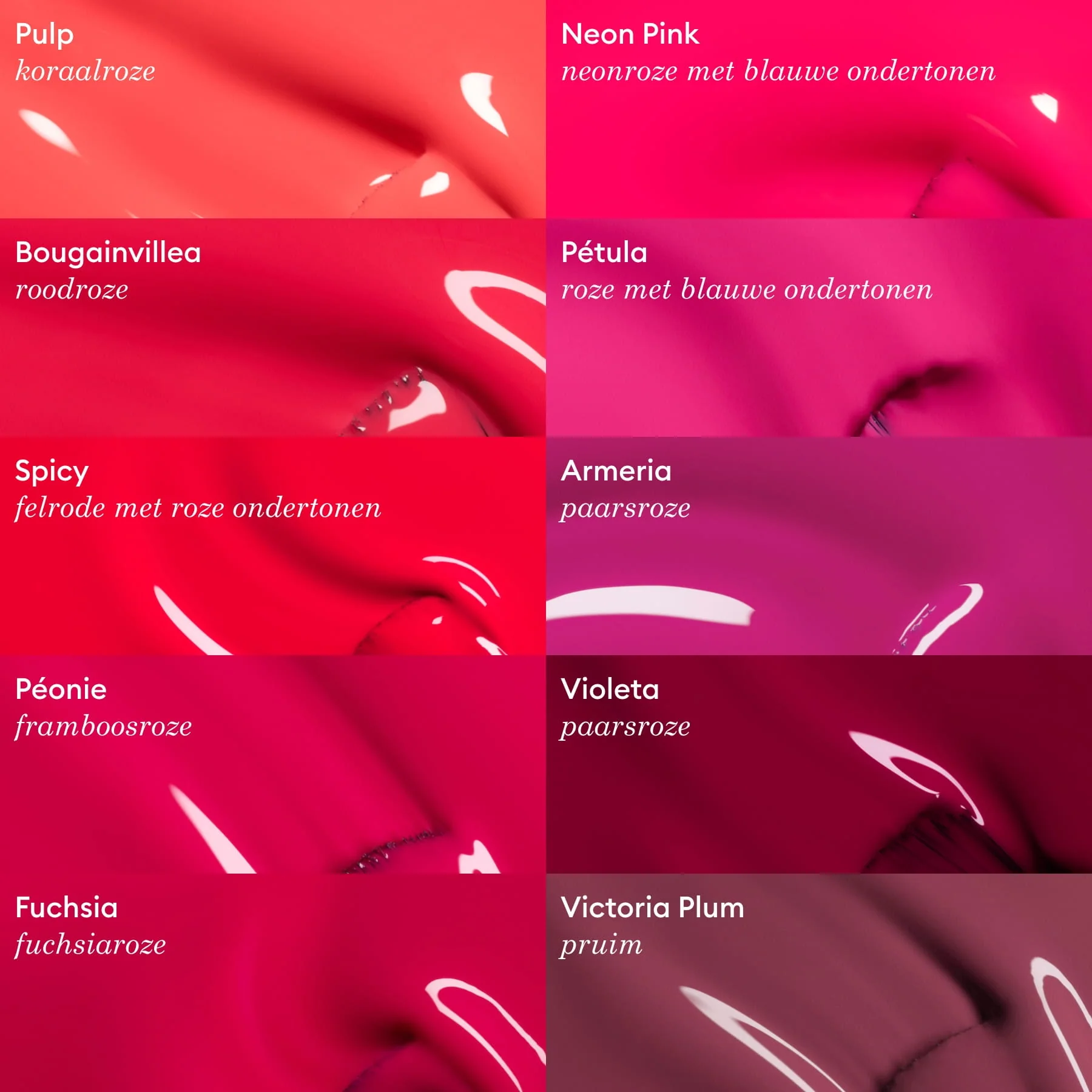 Victoria Plum - Image 15