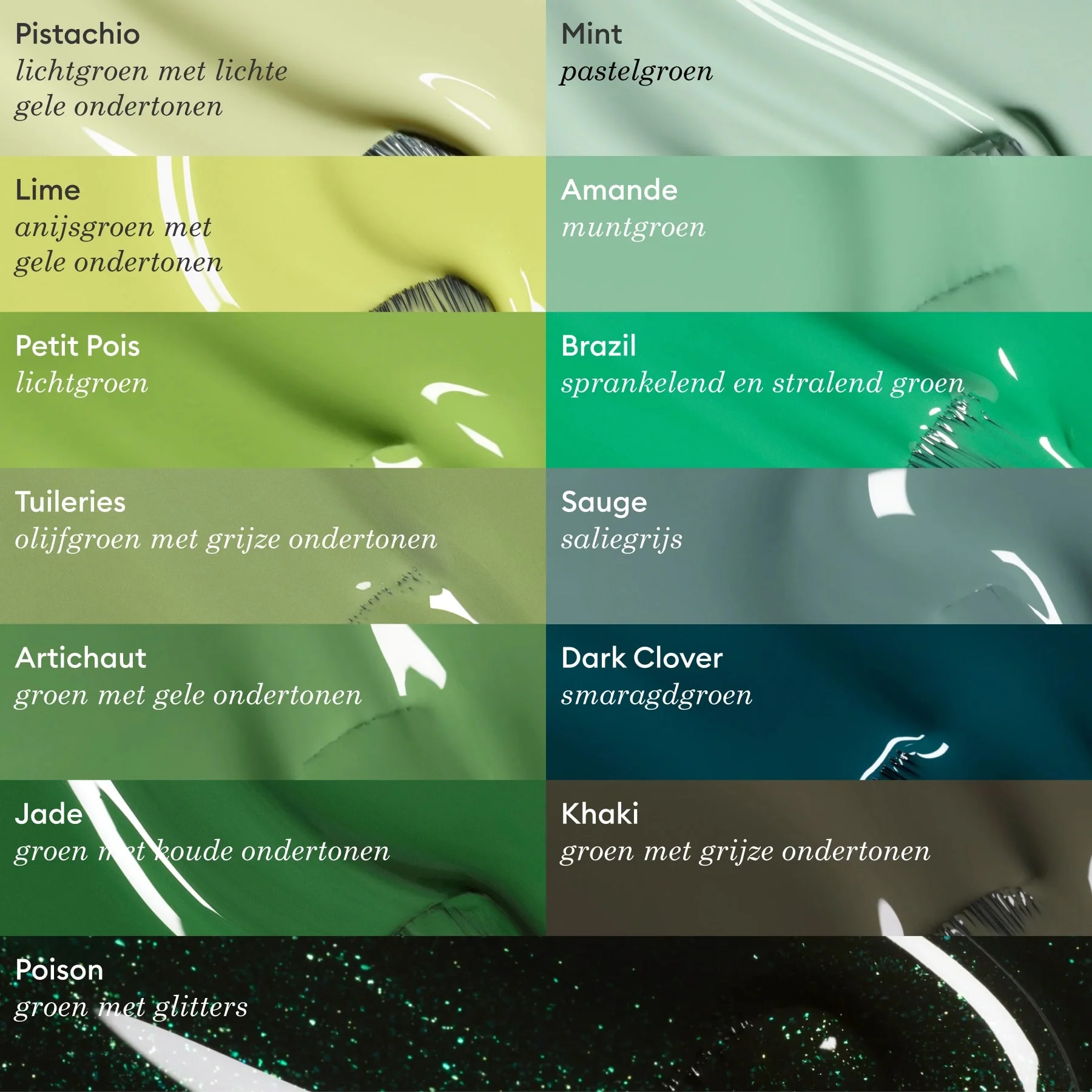 Dark Clover - Image 13