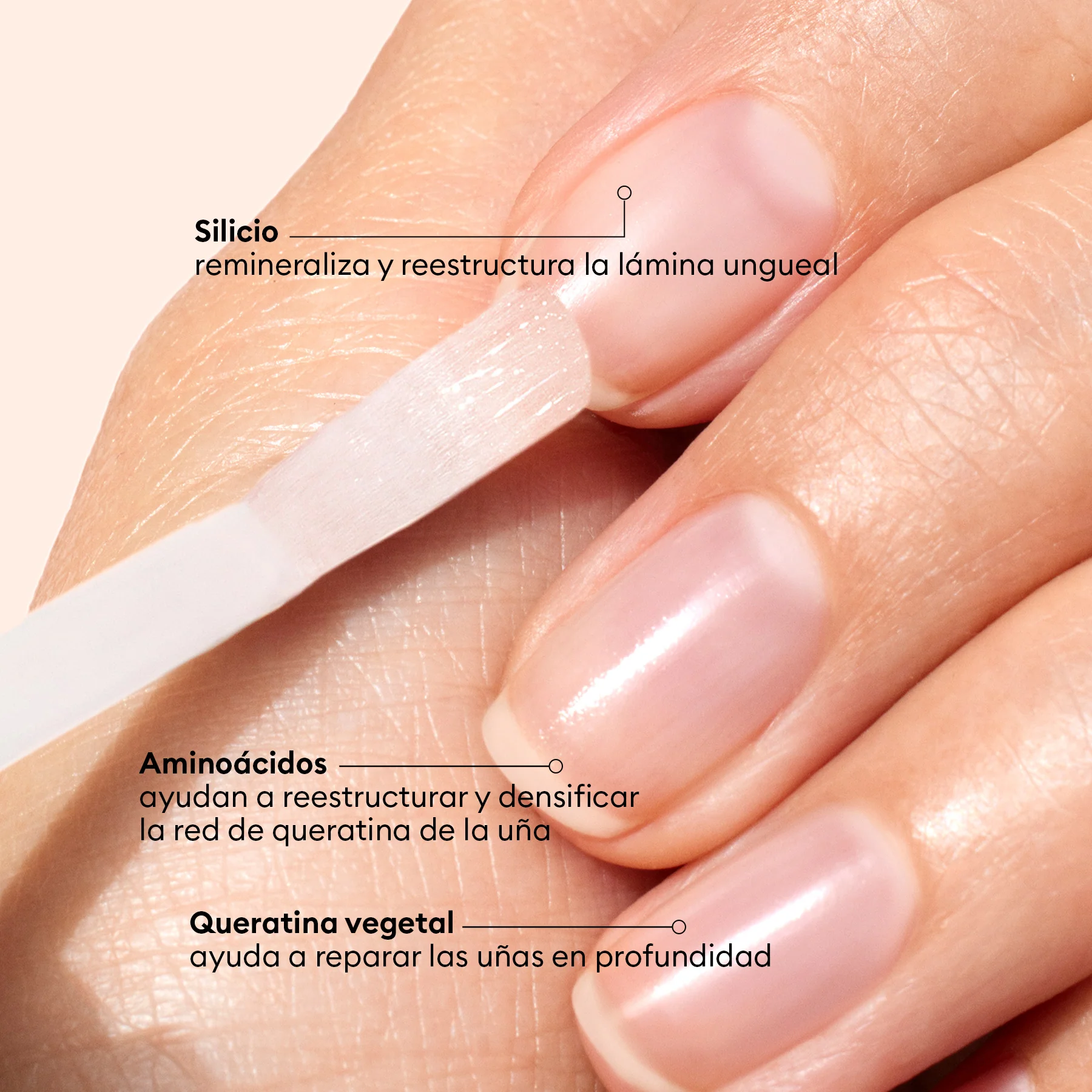 Vernis Amer - Image 10