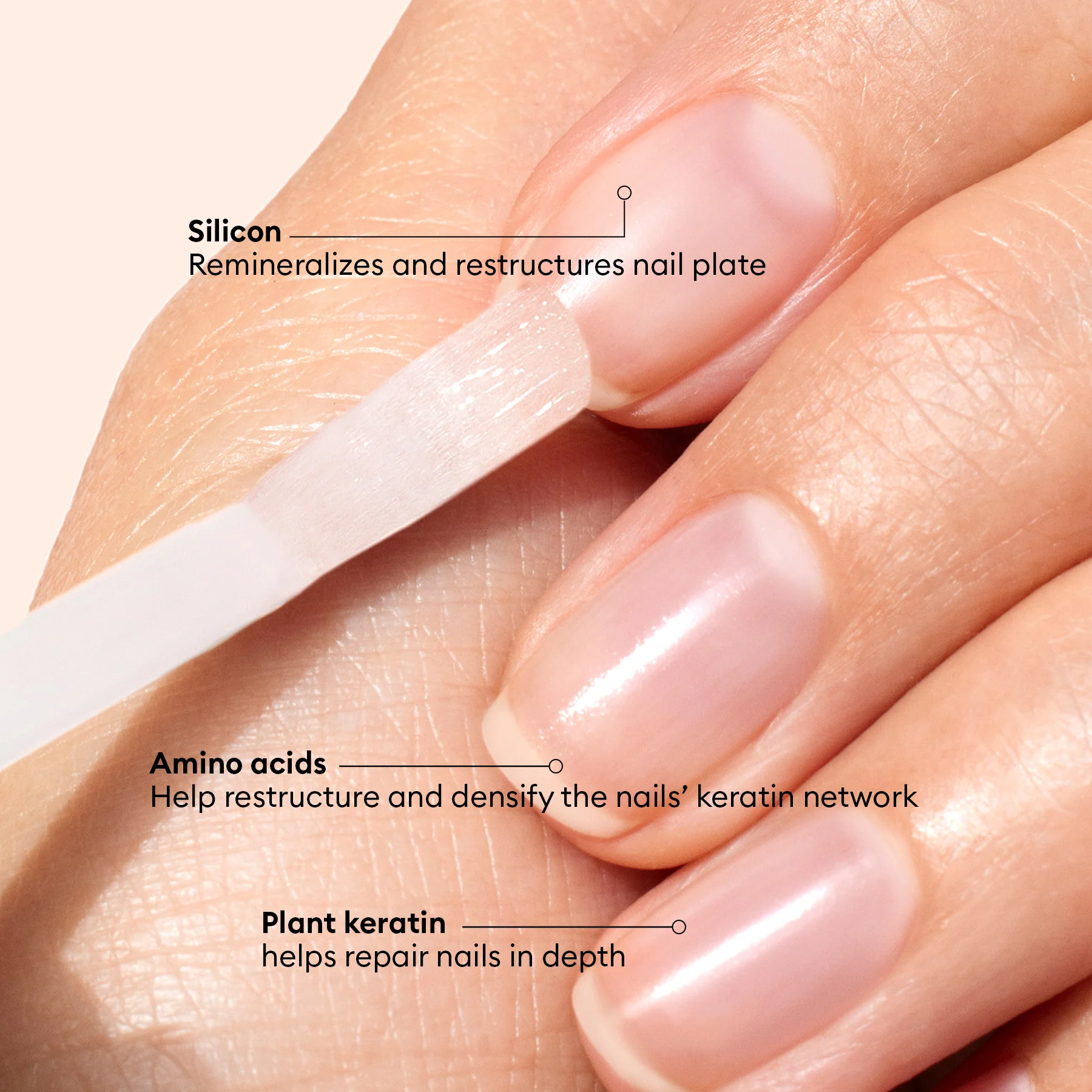 Vernis Amer - Image 12
