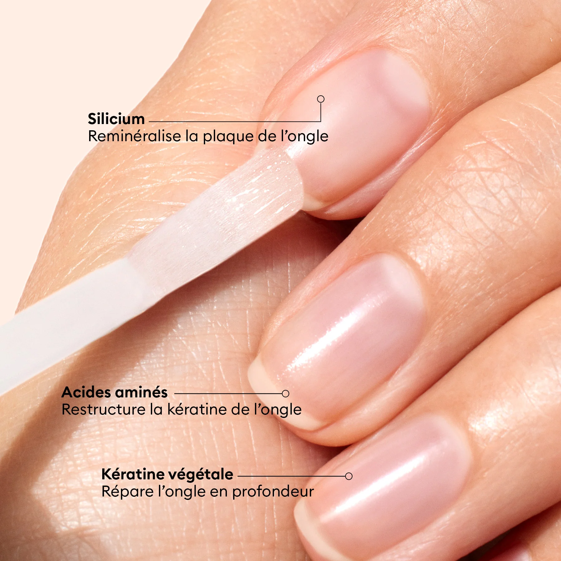 Vernis Amer - Image 9