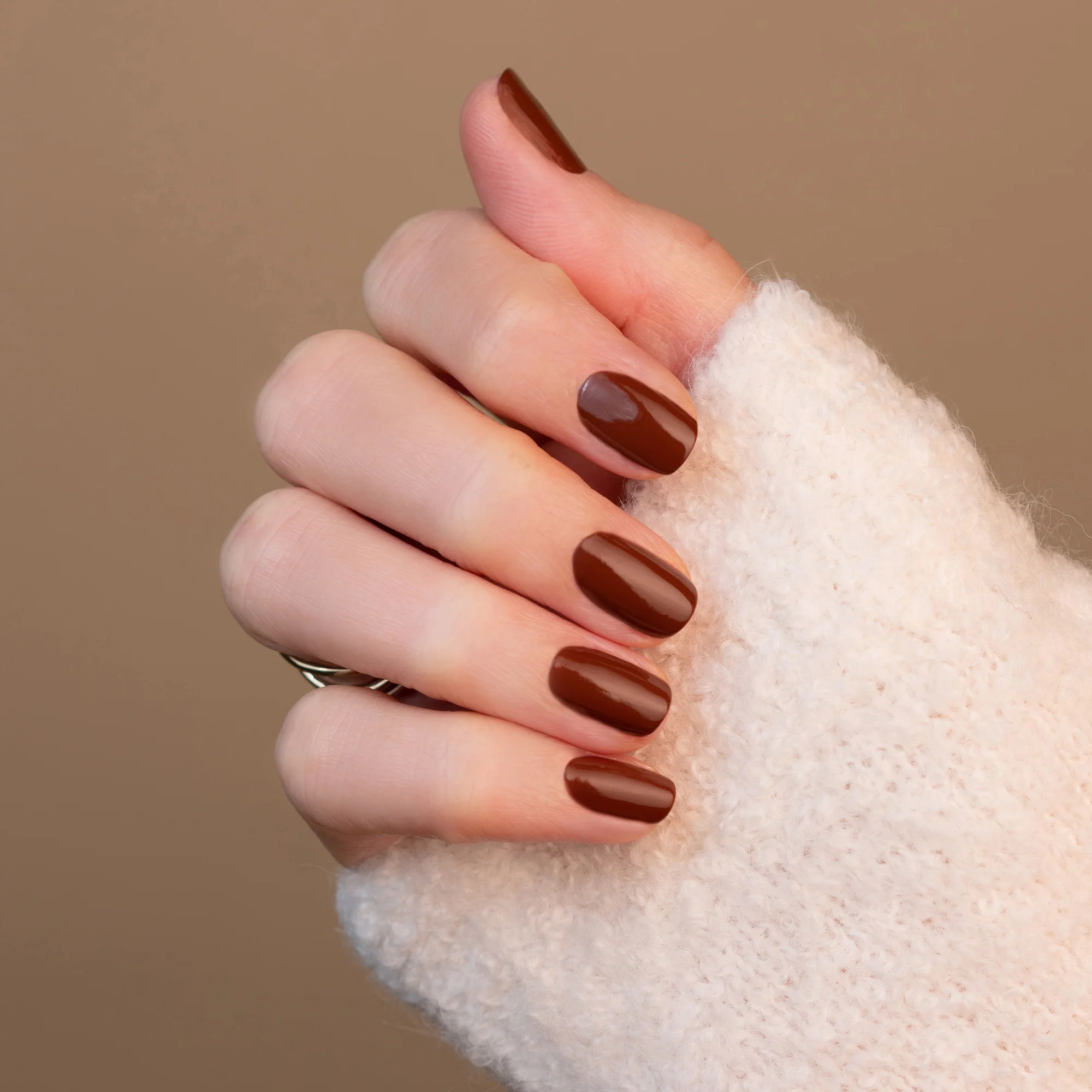 Chestnut - Image 30