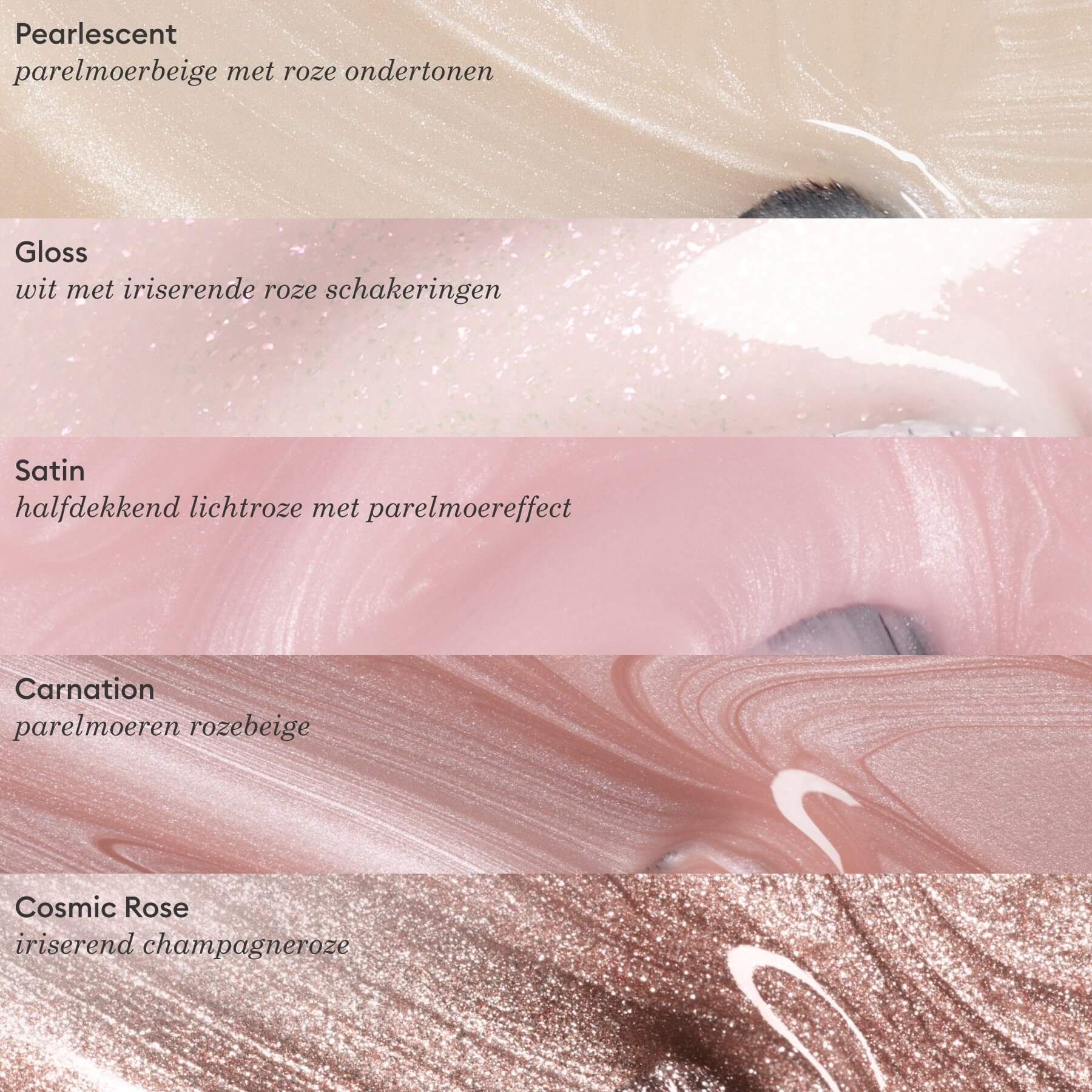 Carnation - Image 11