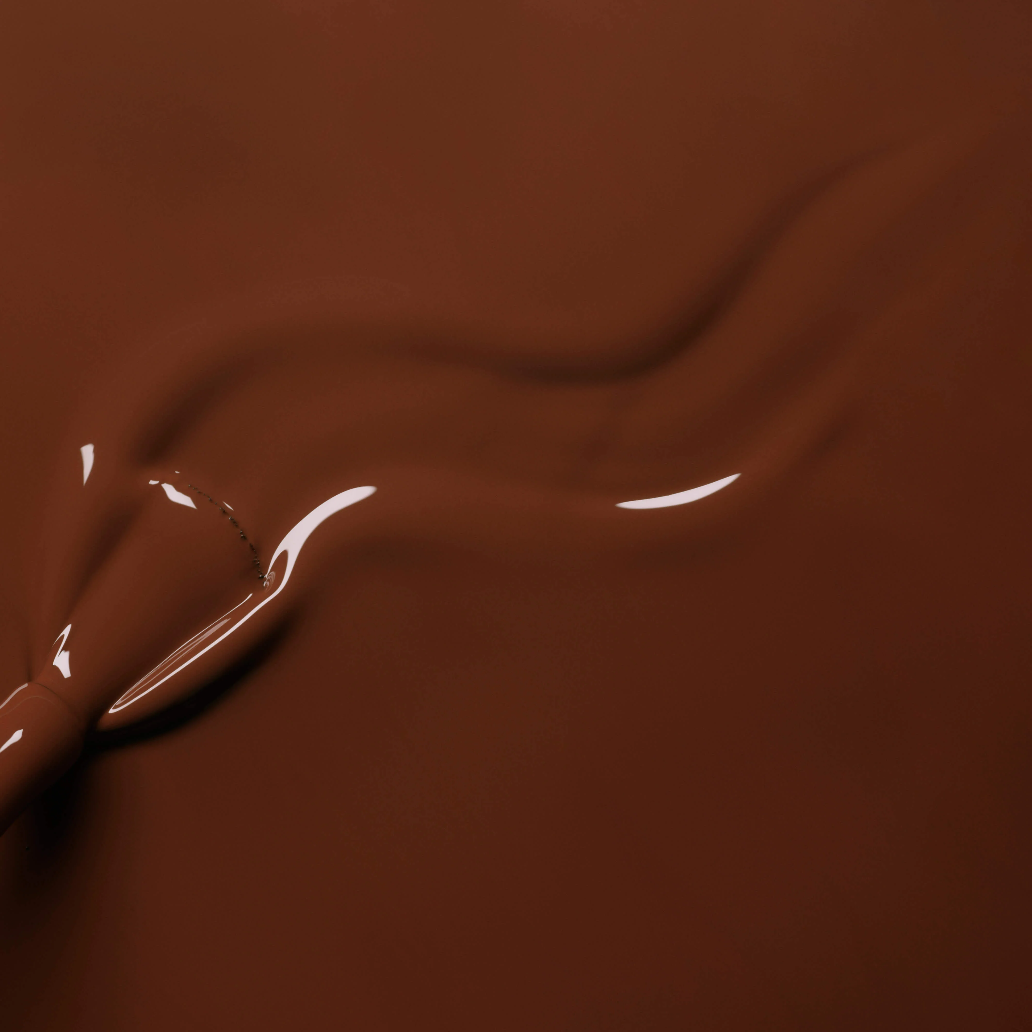 Chestnut - Image 4