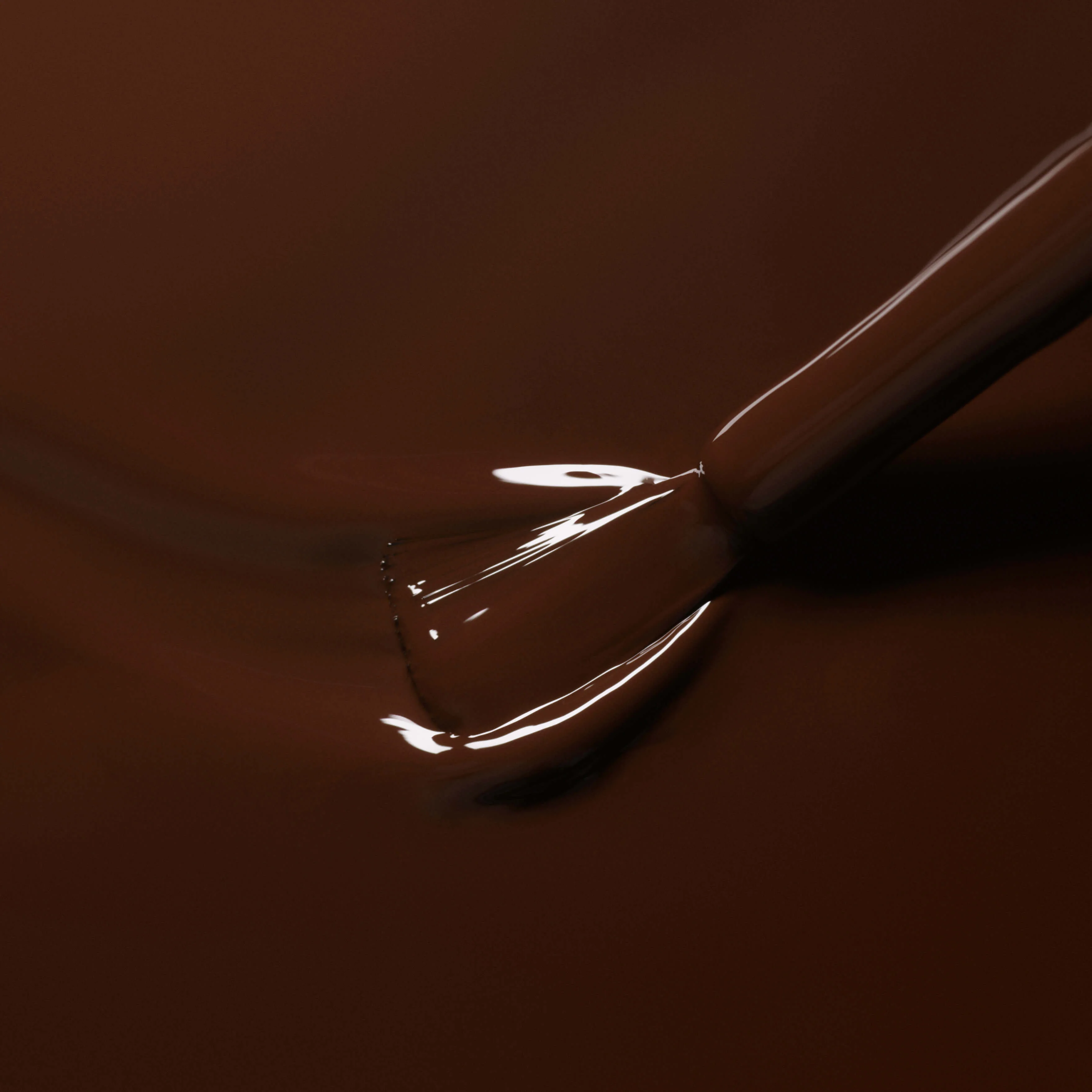 Clove - Image 4