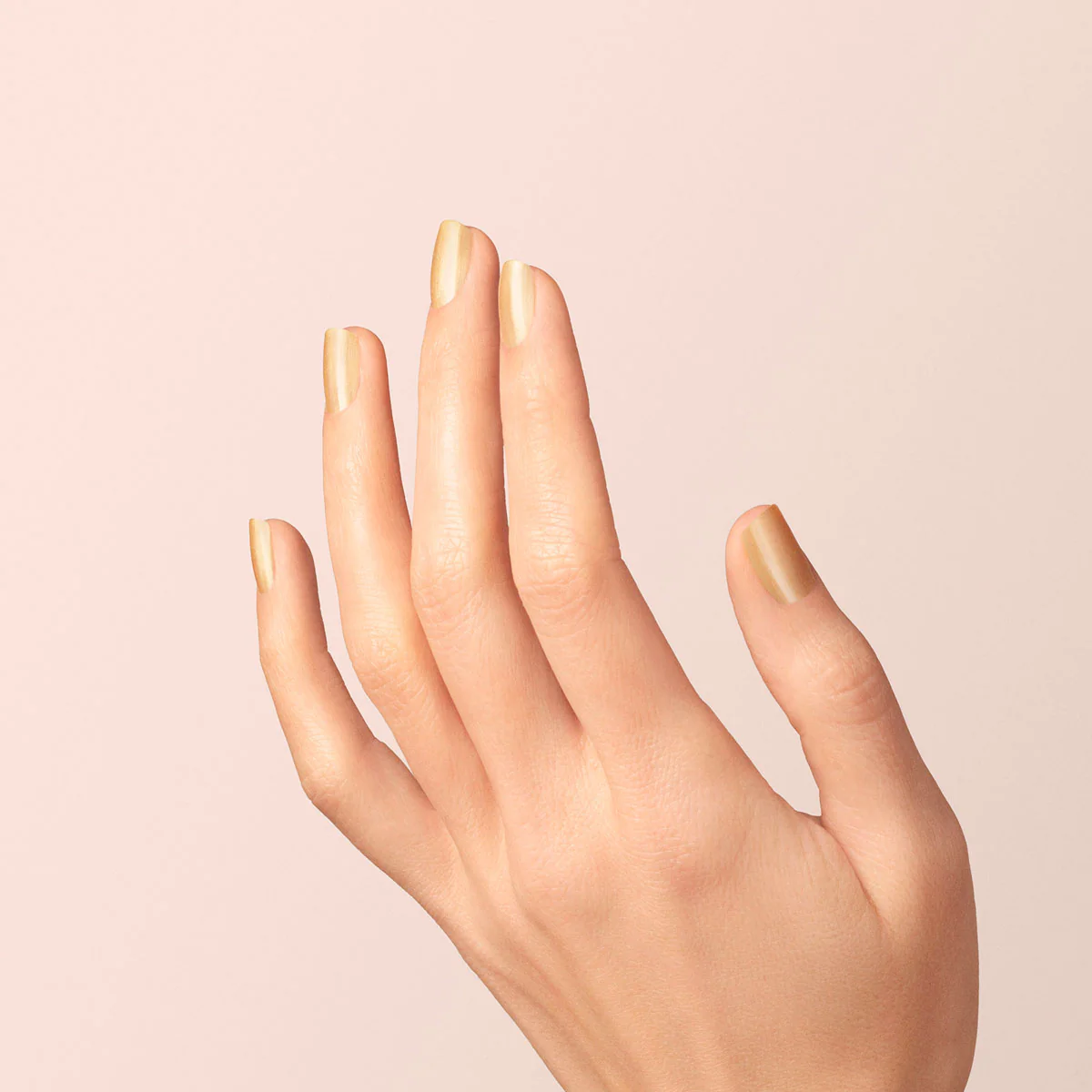 Gold Sand - Image 12