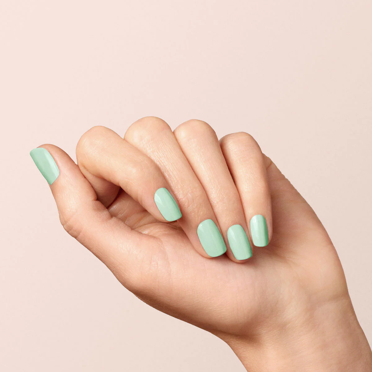 Mint - Image 13
