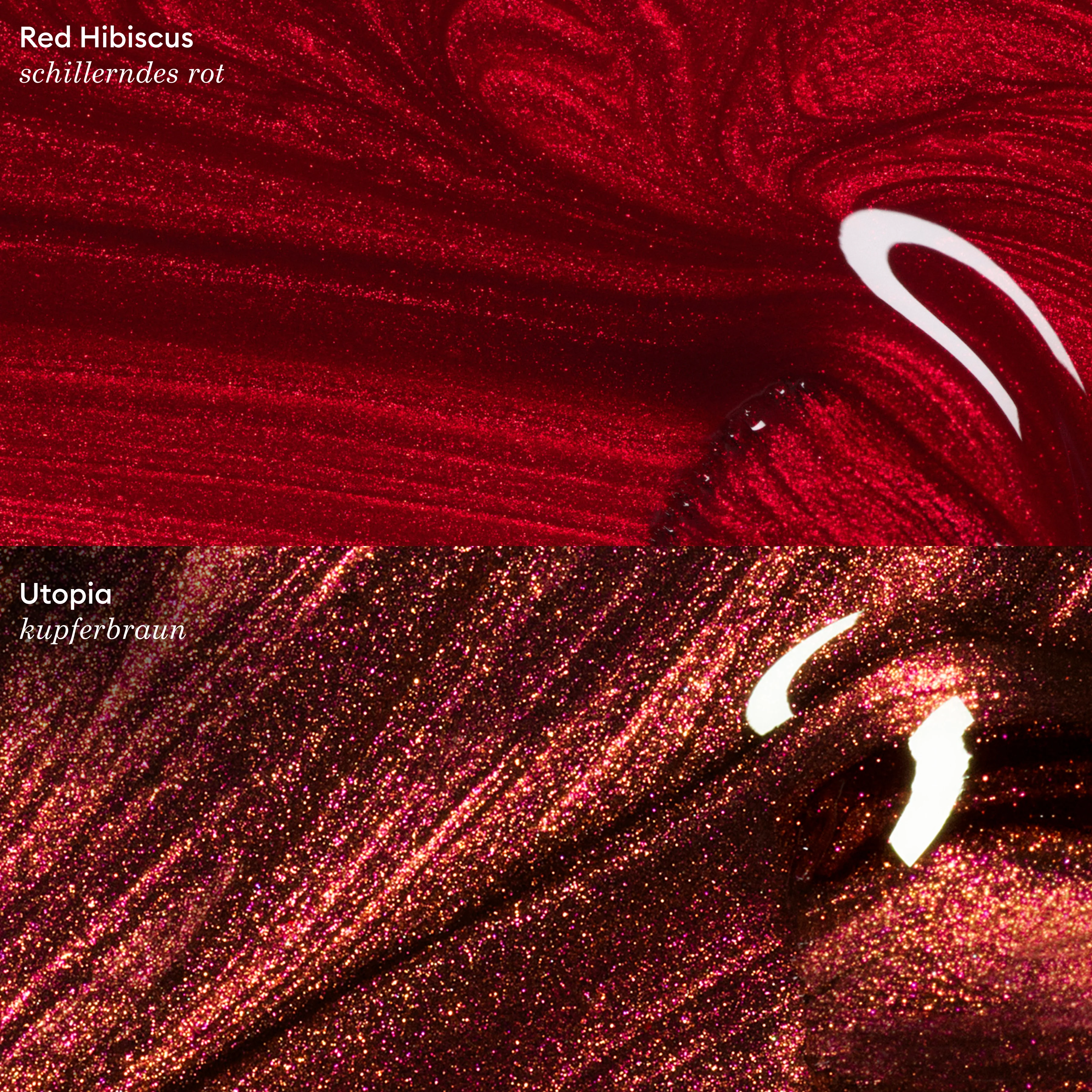 Red Hibiscus - Image 8