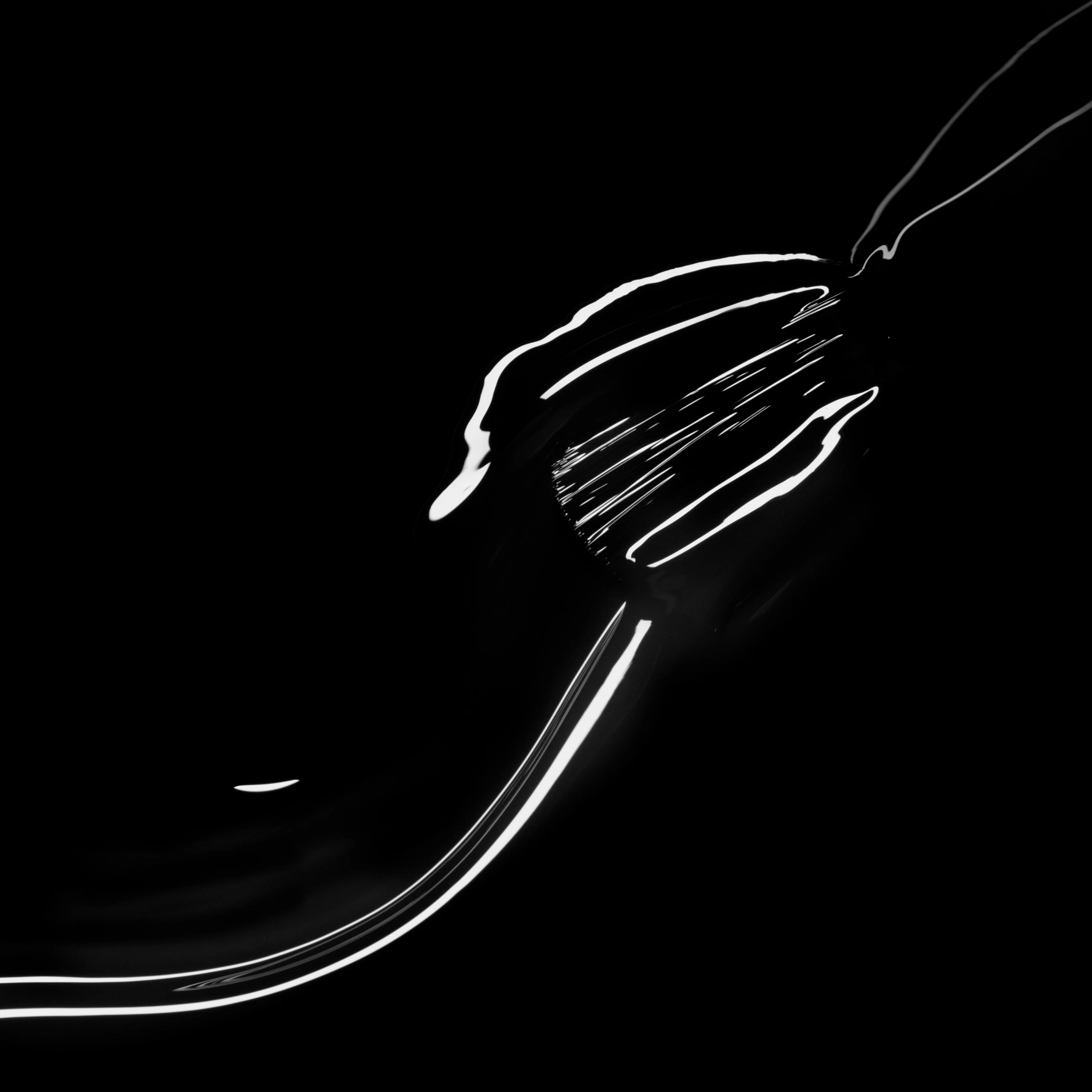 Licorice - Image 5