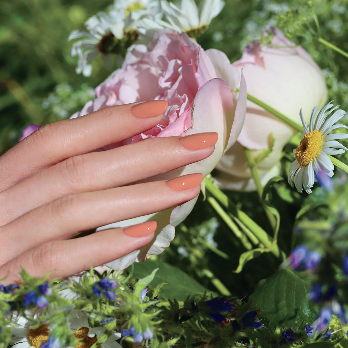 Peach - Image 3
