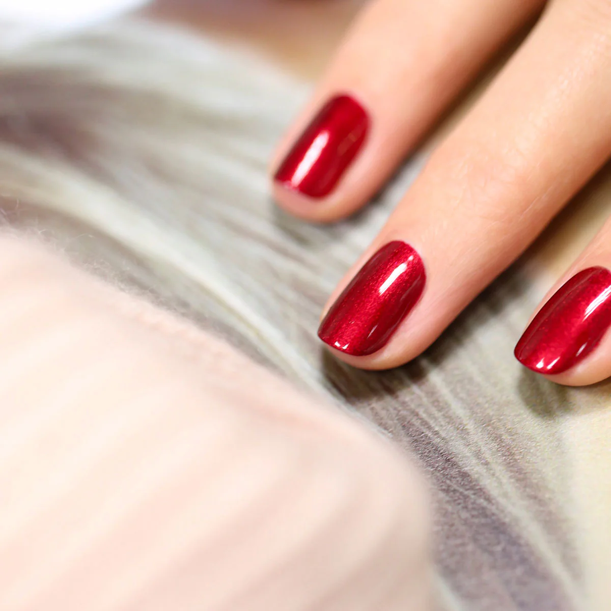 Red Hibiscus - Image 30