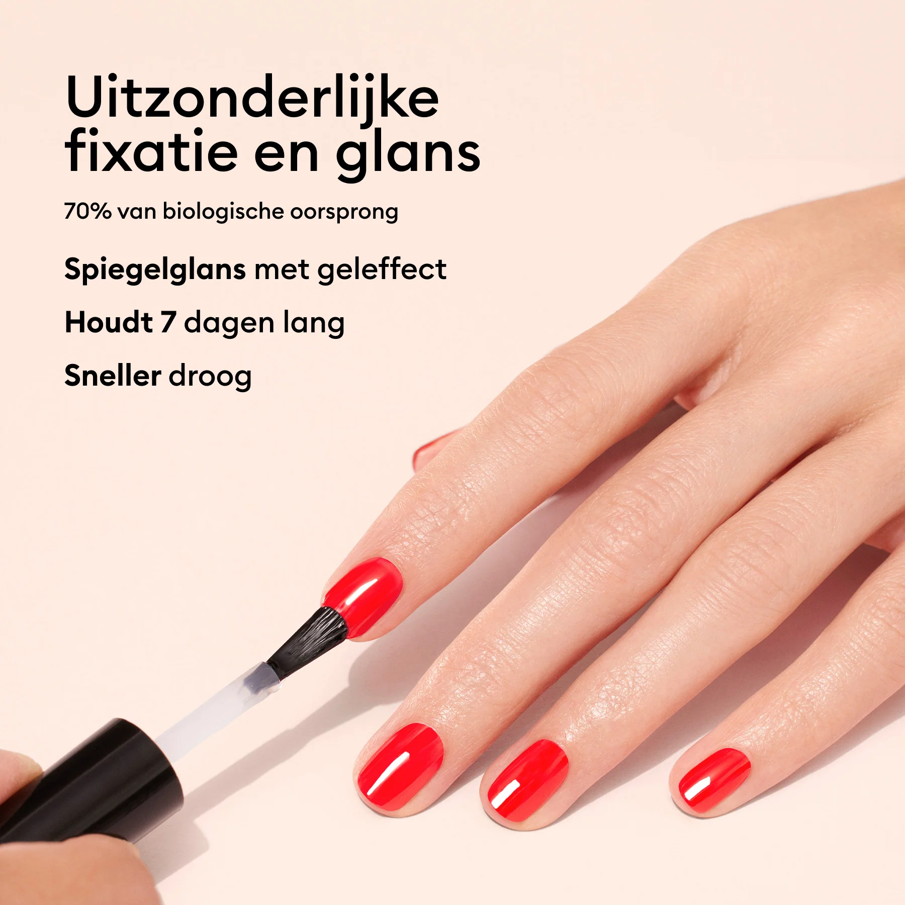 Top Coat Sunshine - Image 7