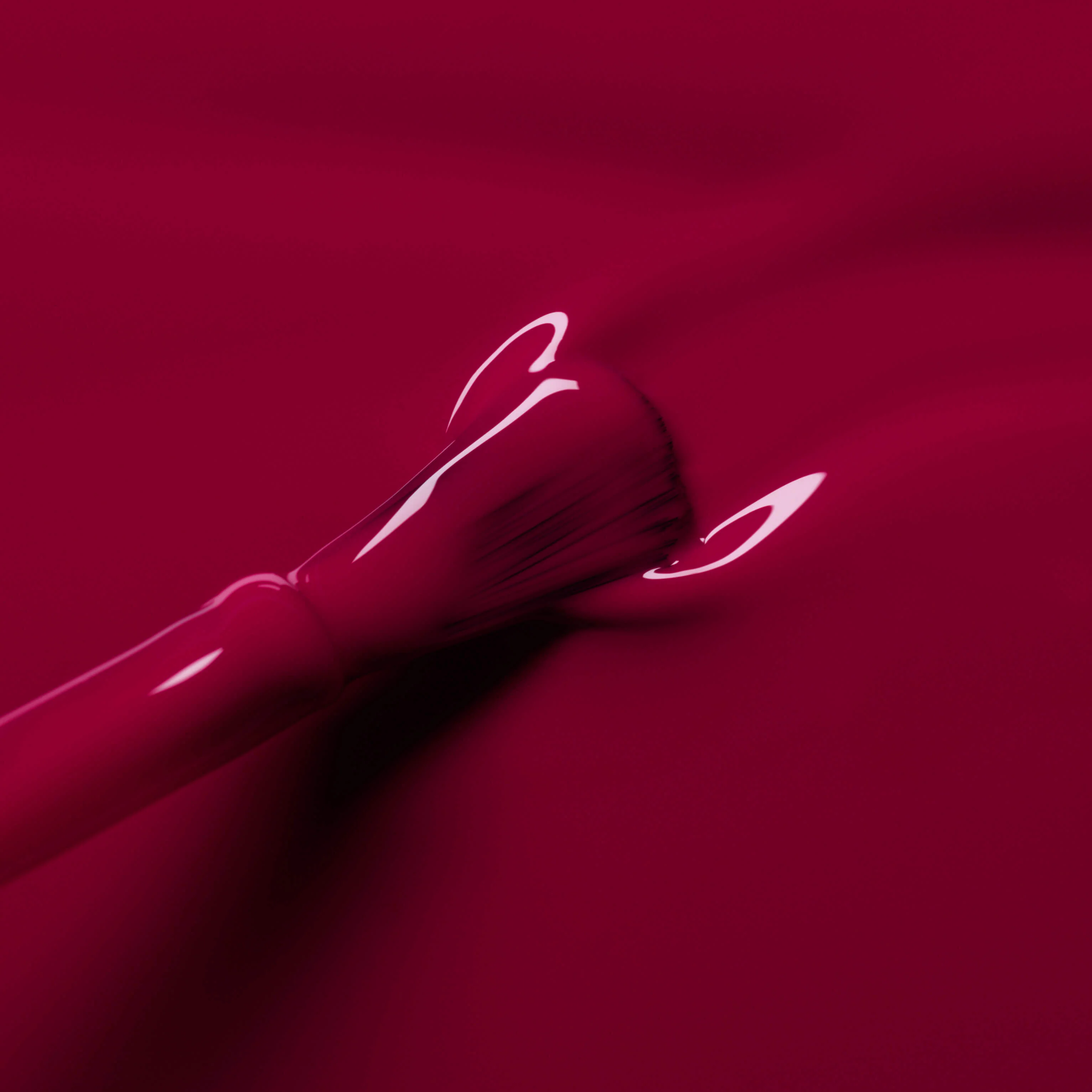 Violeta - Image 5